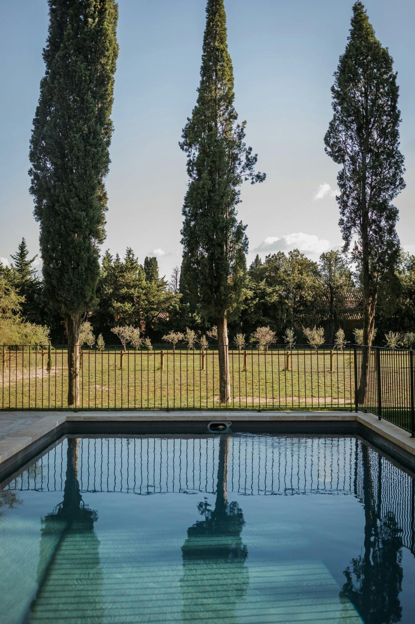 Vue de la piscine sur le jardin et les arbres