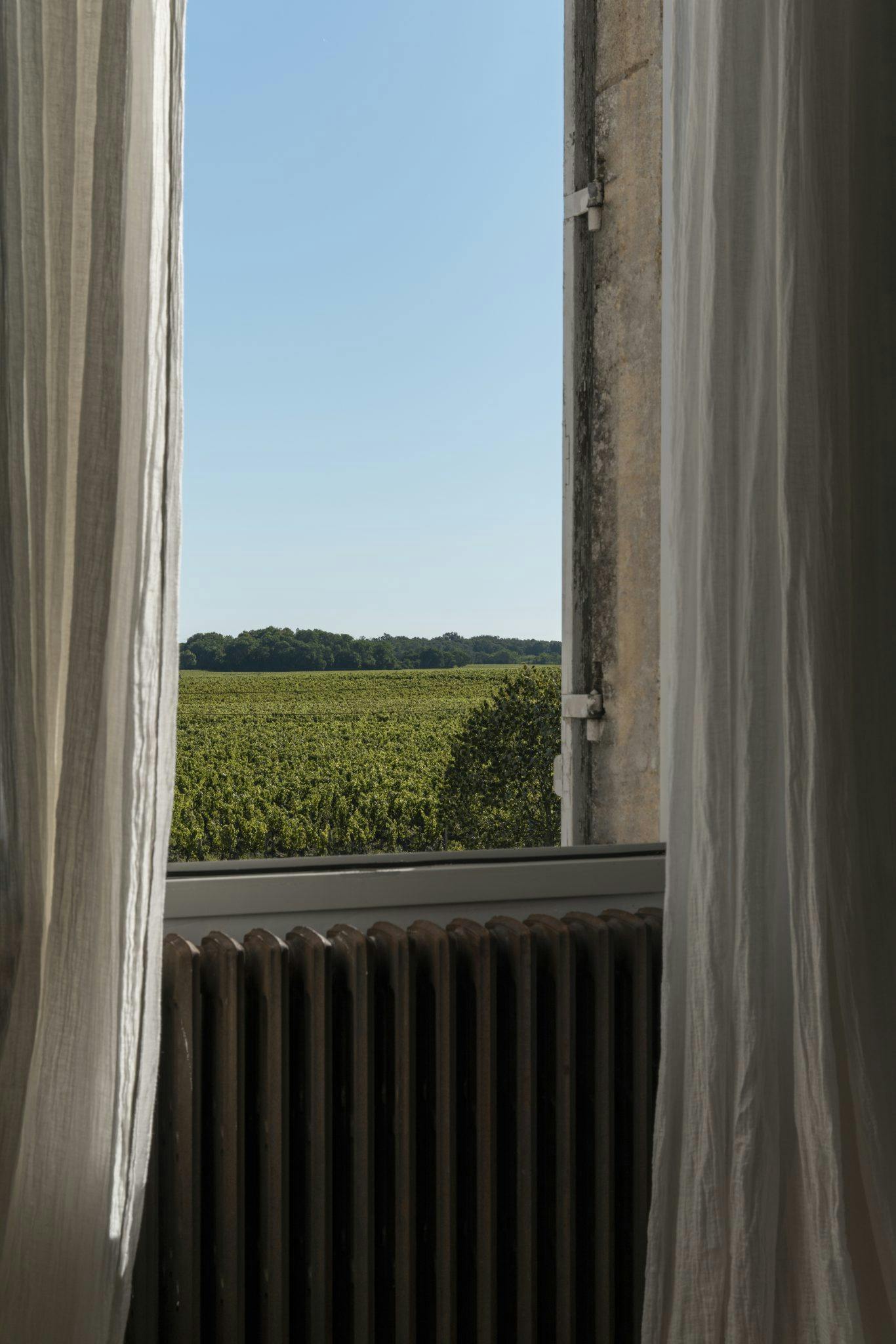 view of the vineyards through the château window