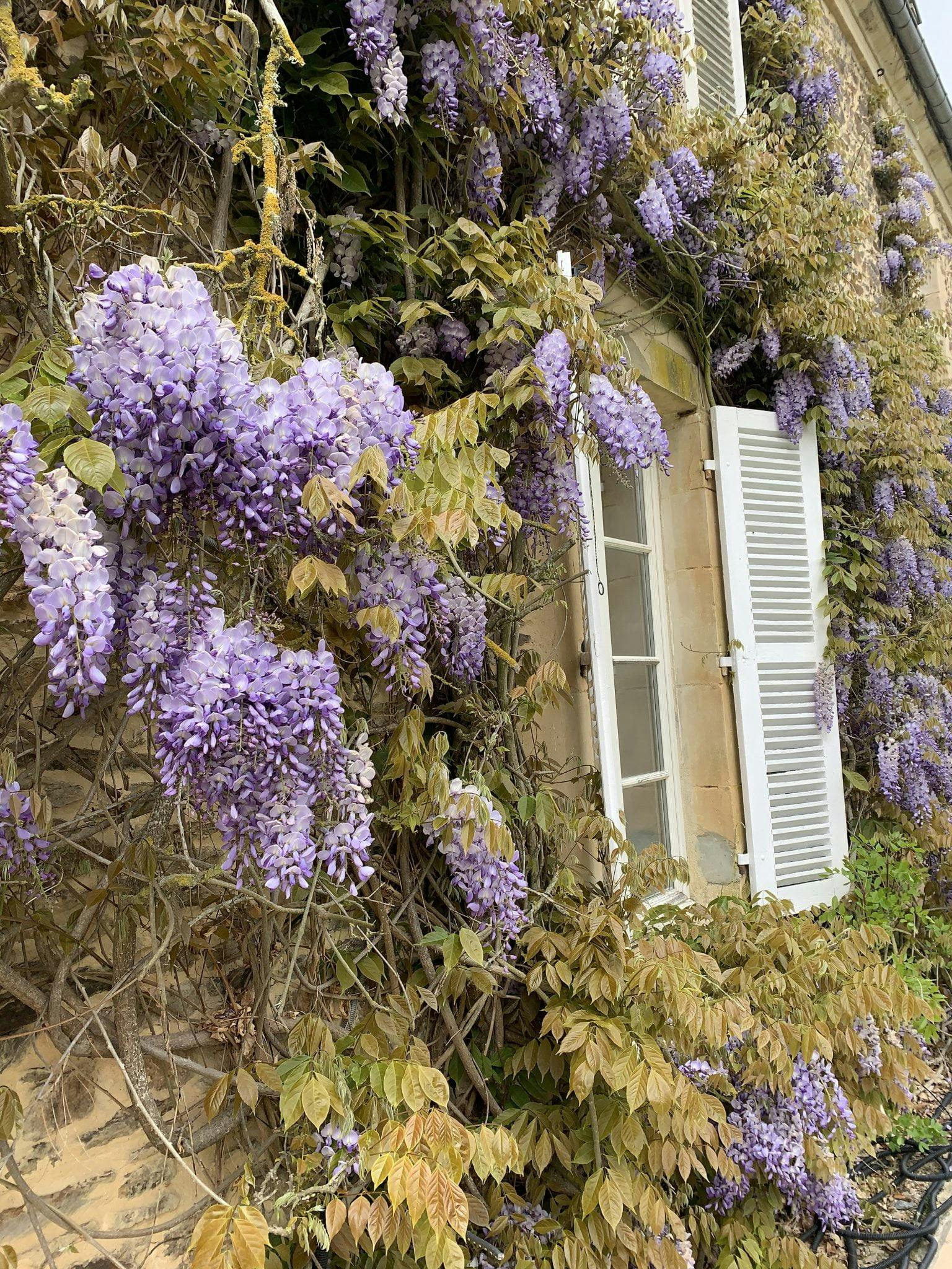 flower-filled facade of the house