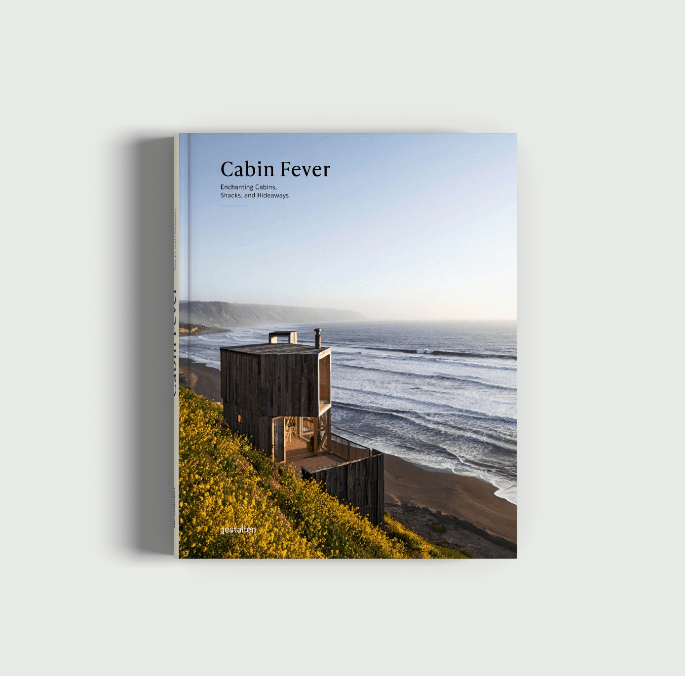 book with a wooden cabin on the beach in the cover