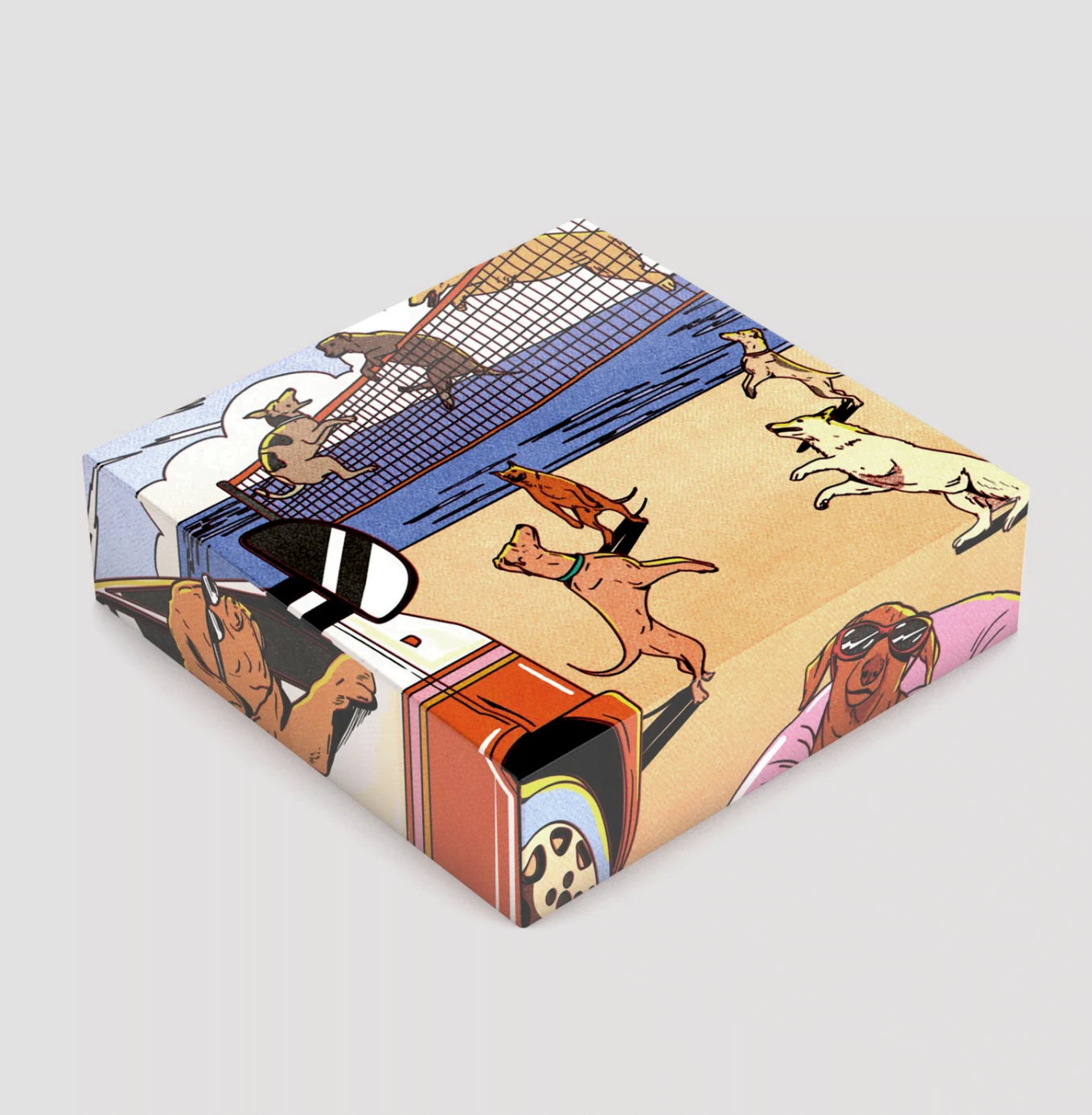 puzzle box with dogs playing on the beach