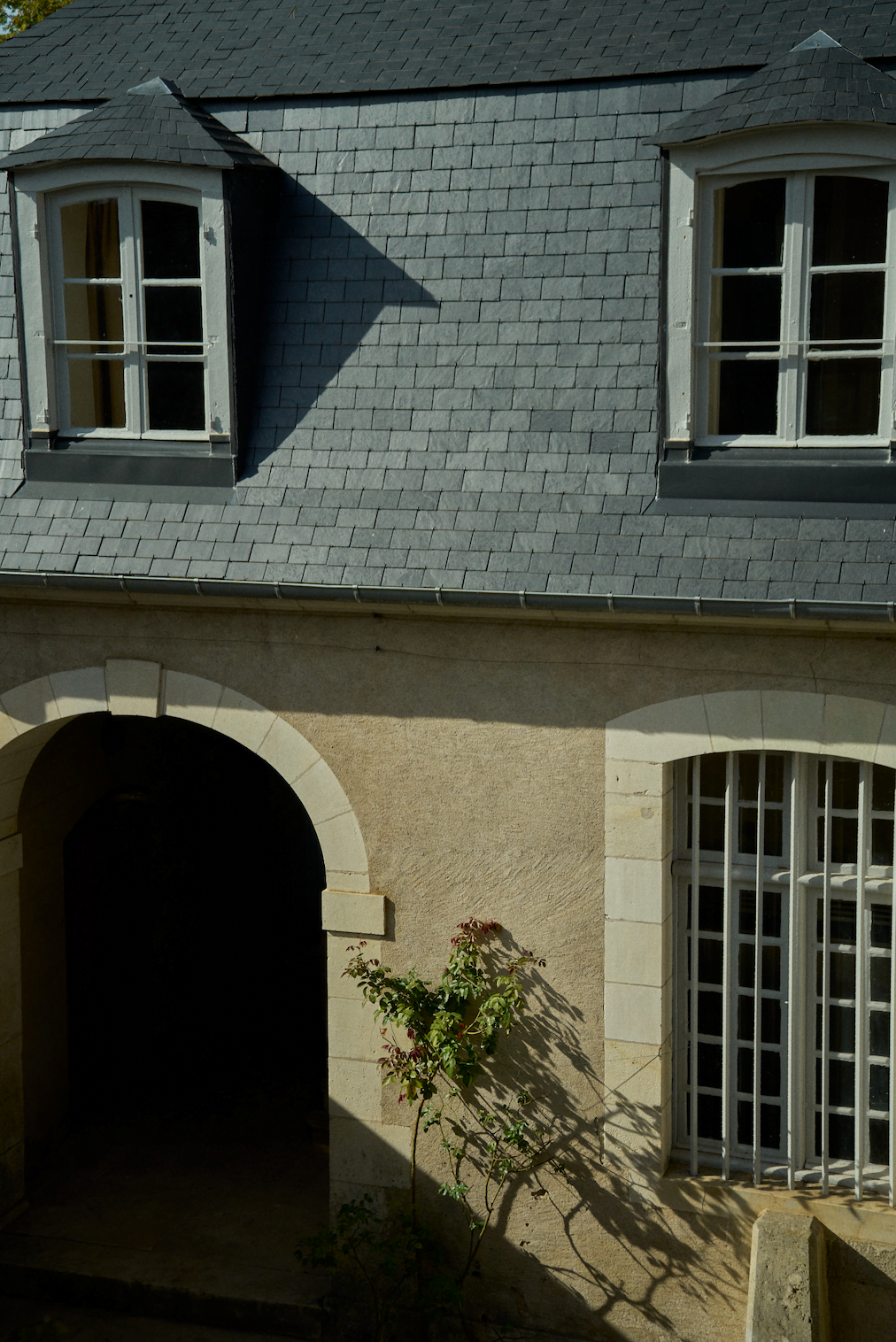 L'une des entrées du Château près de laquelle un rosier grimpant à pris ses marques - © Benjamin Colombel