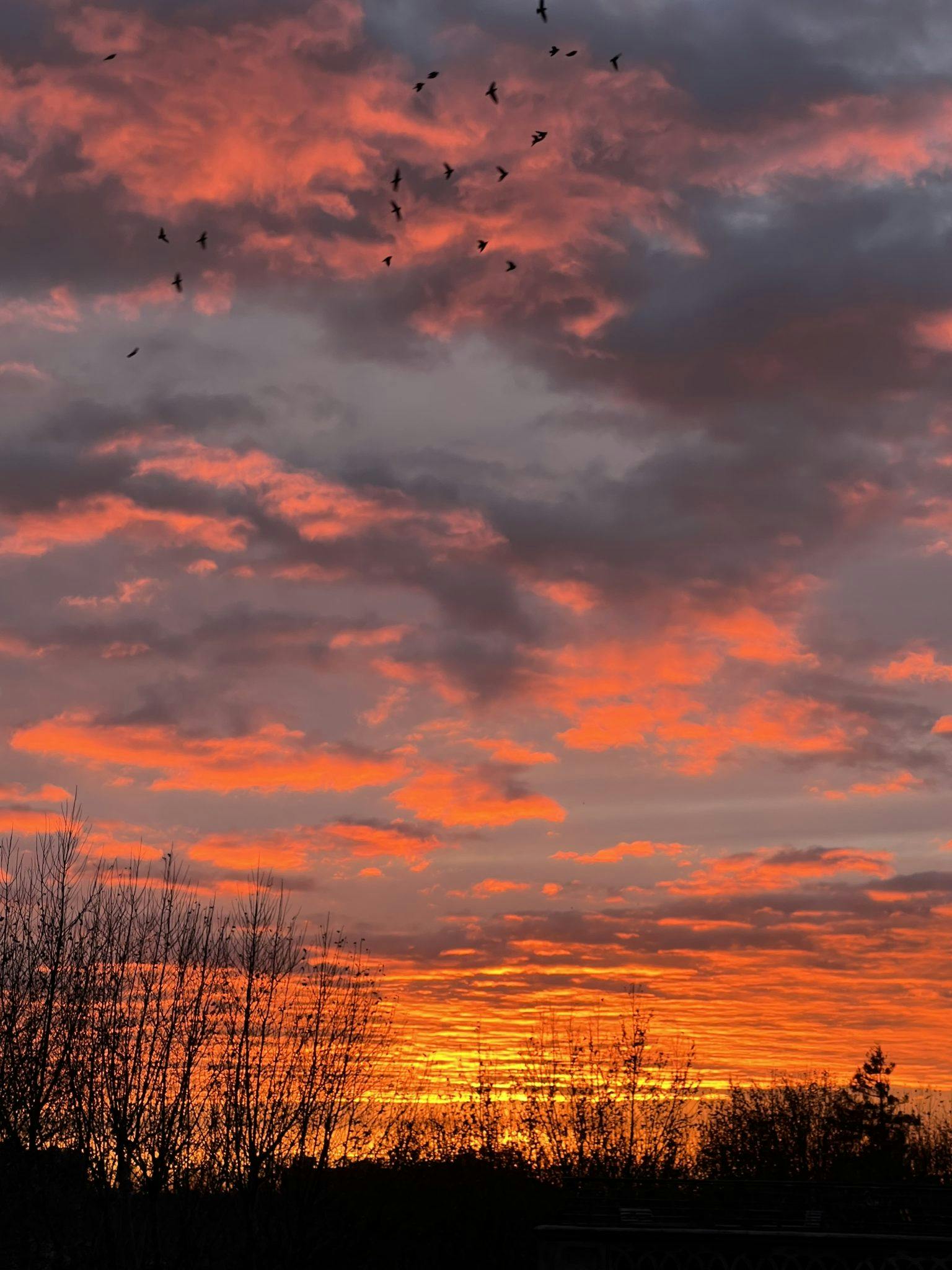 View on the sunset from the terrace. 