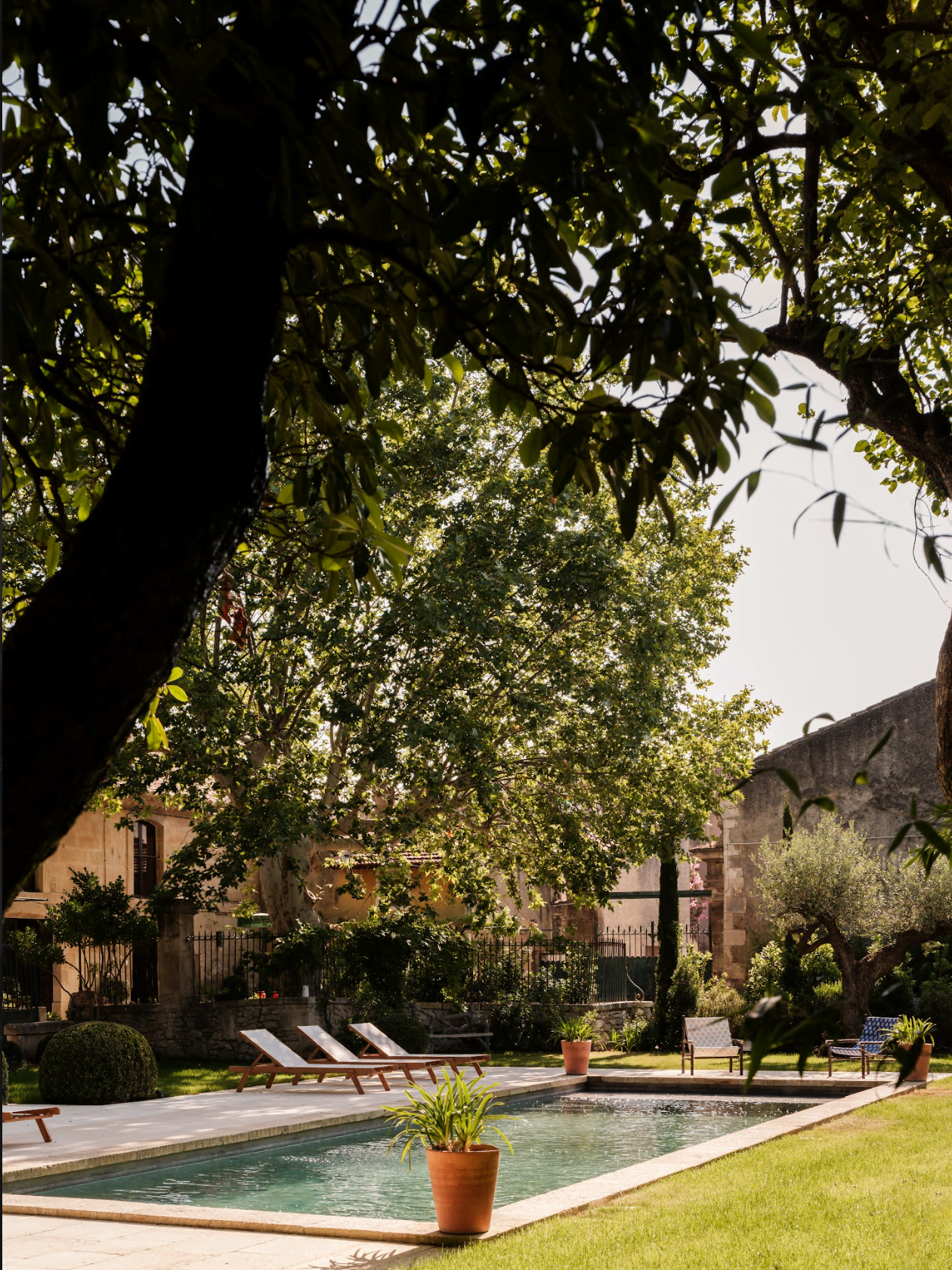 Piscine, transats, arbres