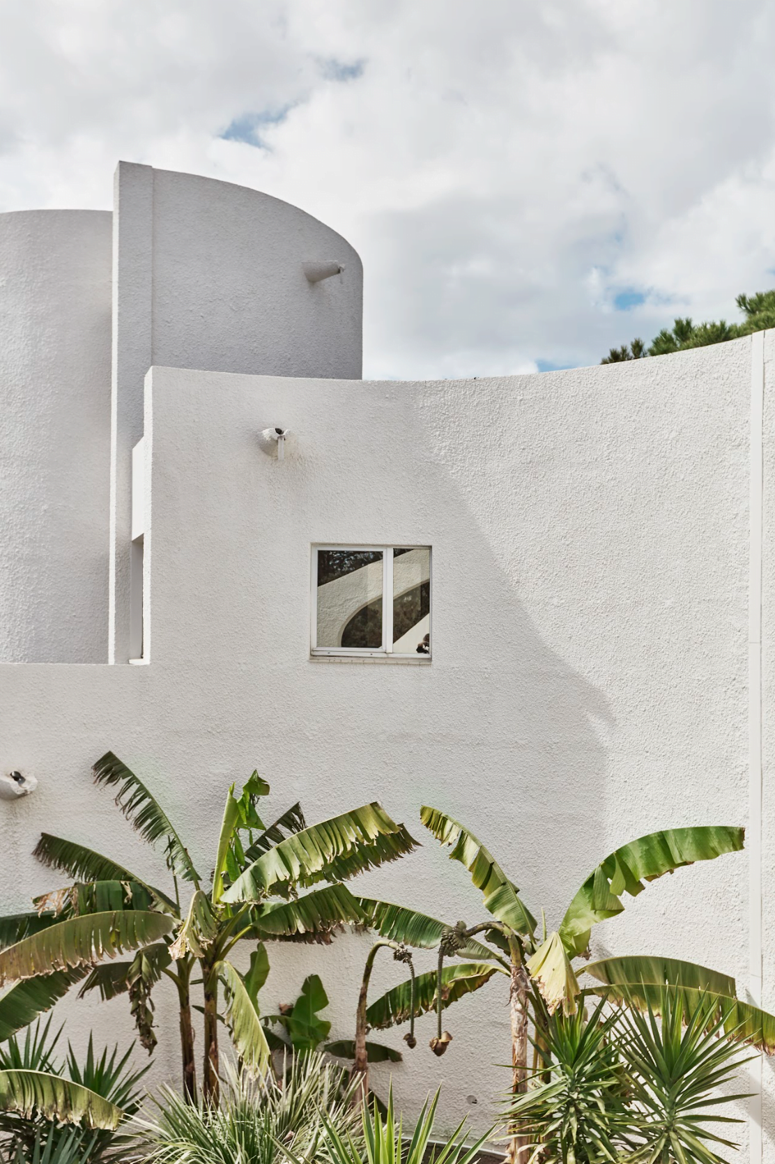 Exterior facade of the villa, palm trees