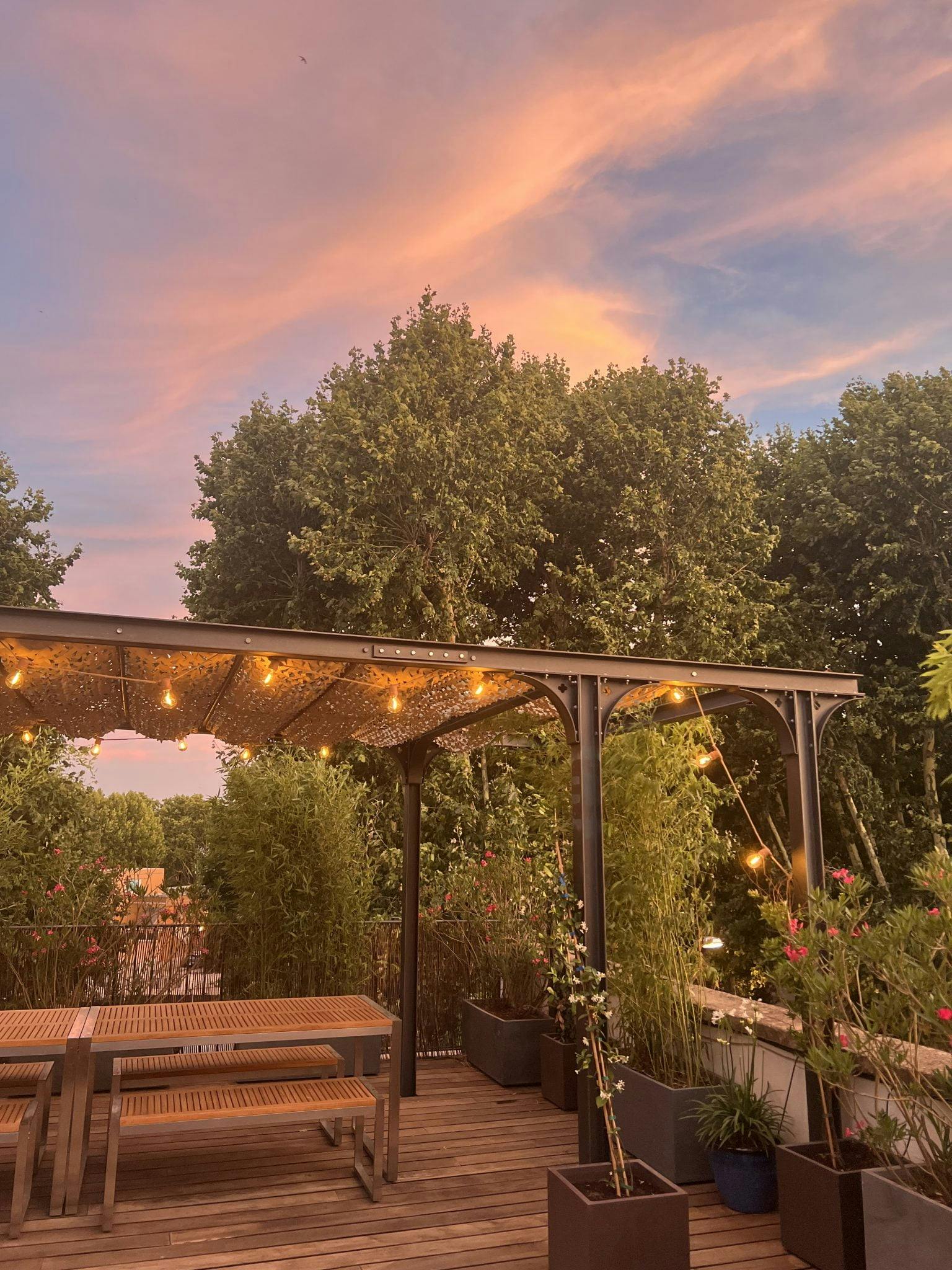 La terrasse le soir, pergola, plantes