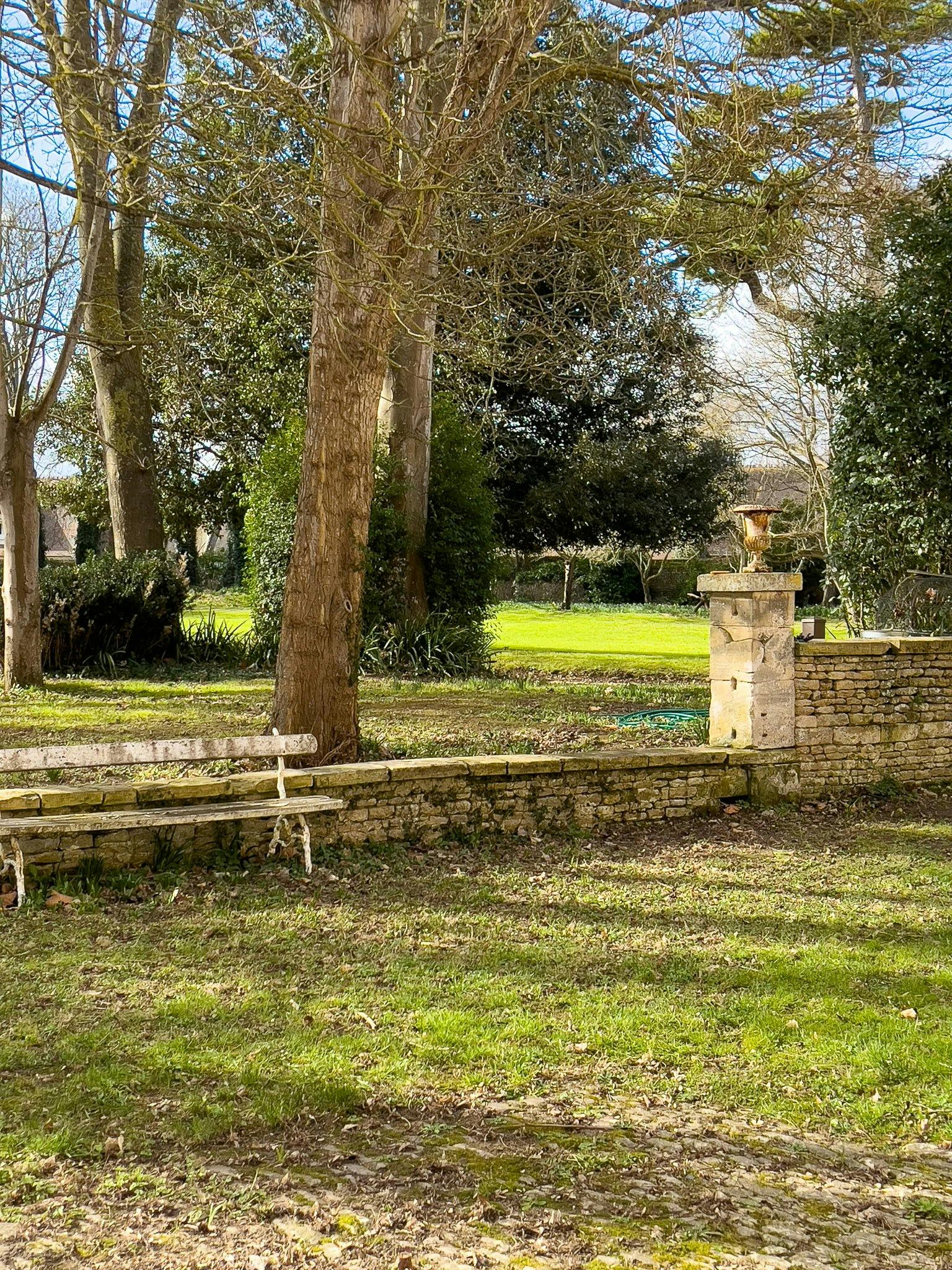 The lawn in the château's park, with trees.