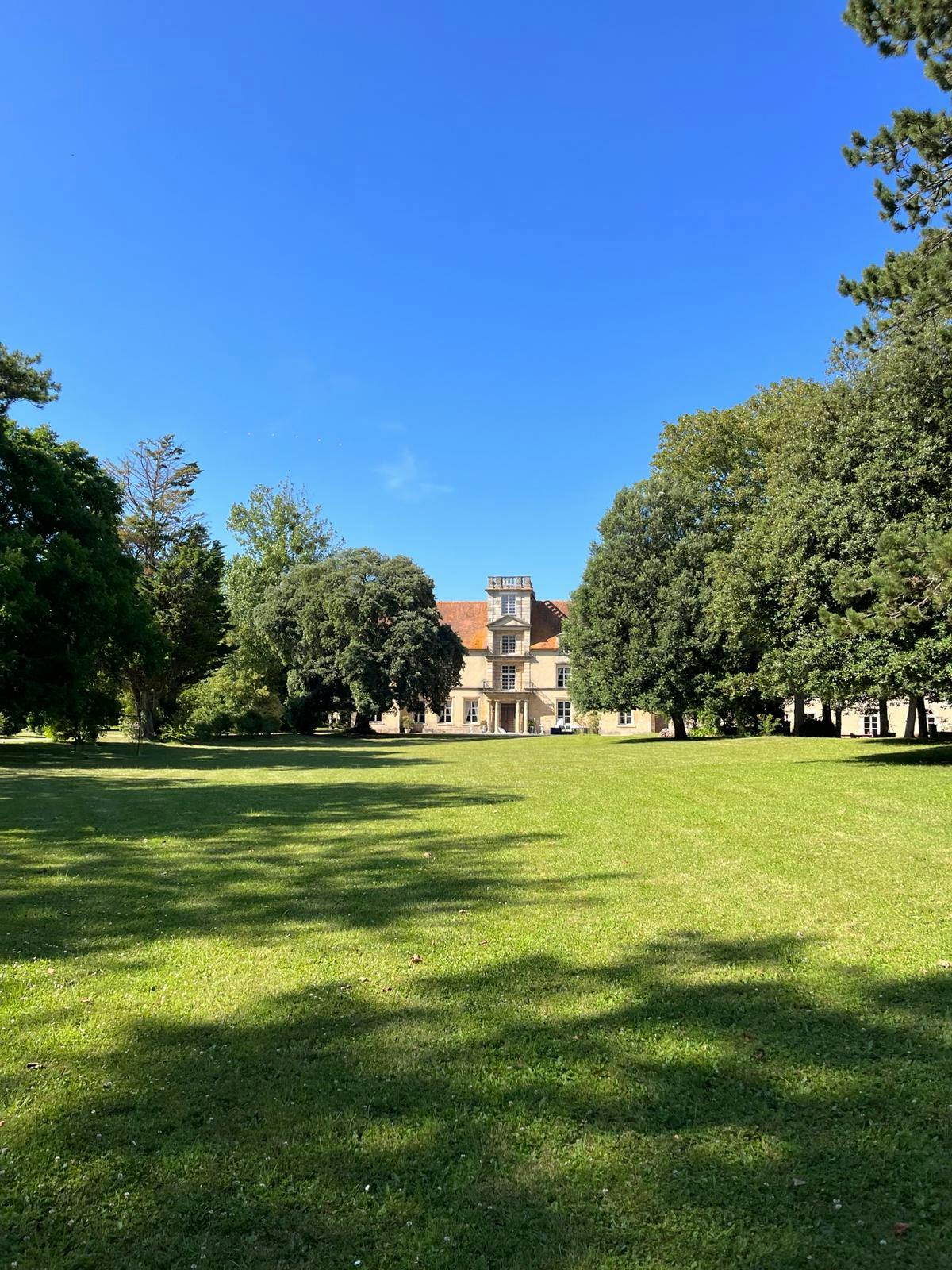 The lawn of the château's park, with trees.