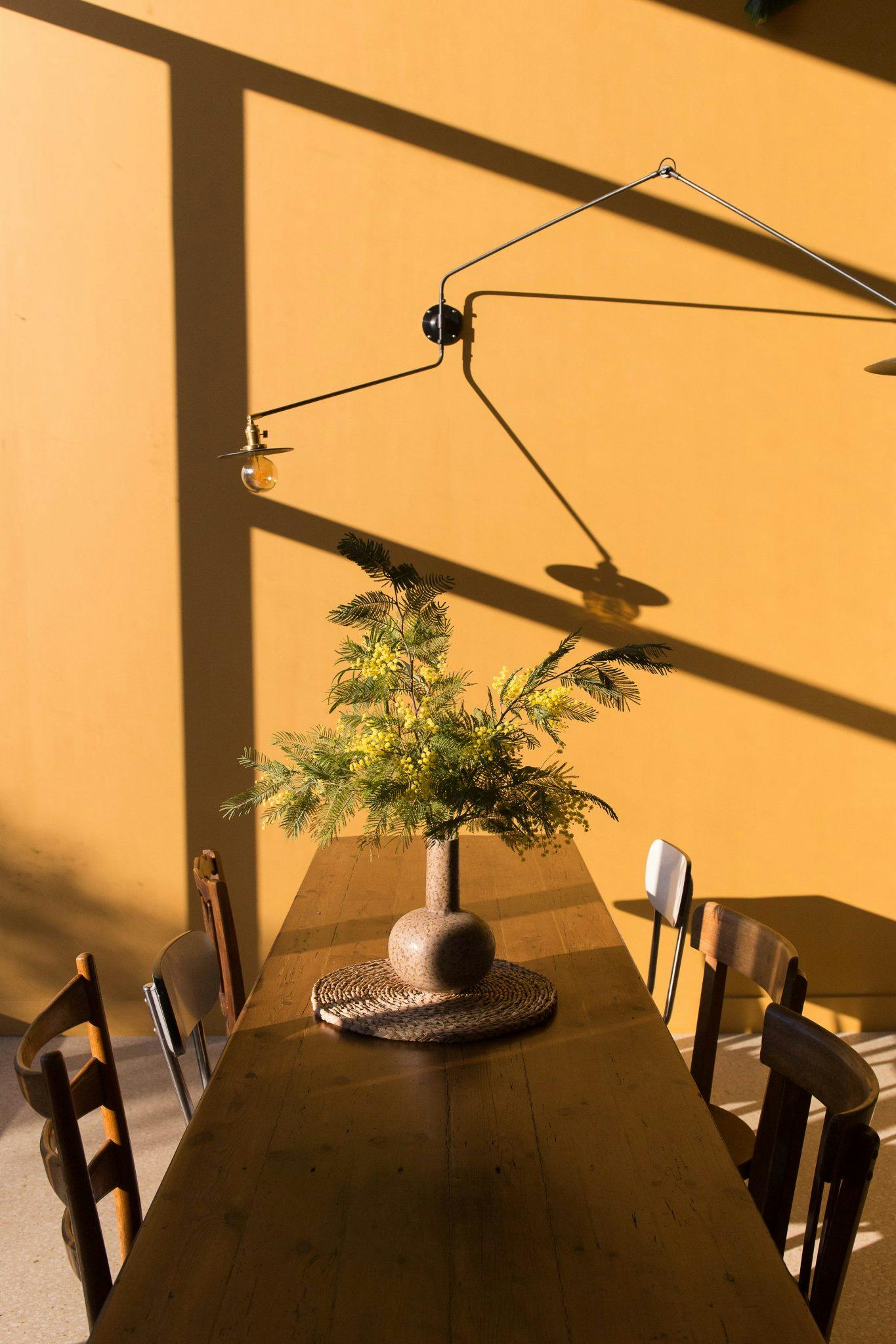 A bouquet of garden mimosa to adorn the dining room. © Pauline Lemoine