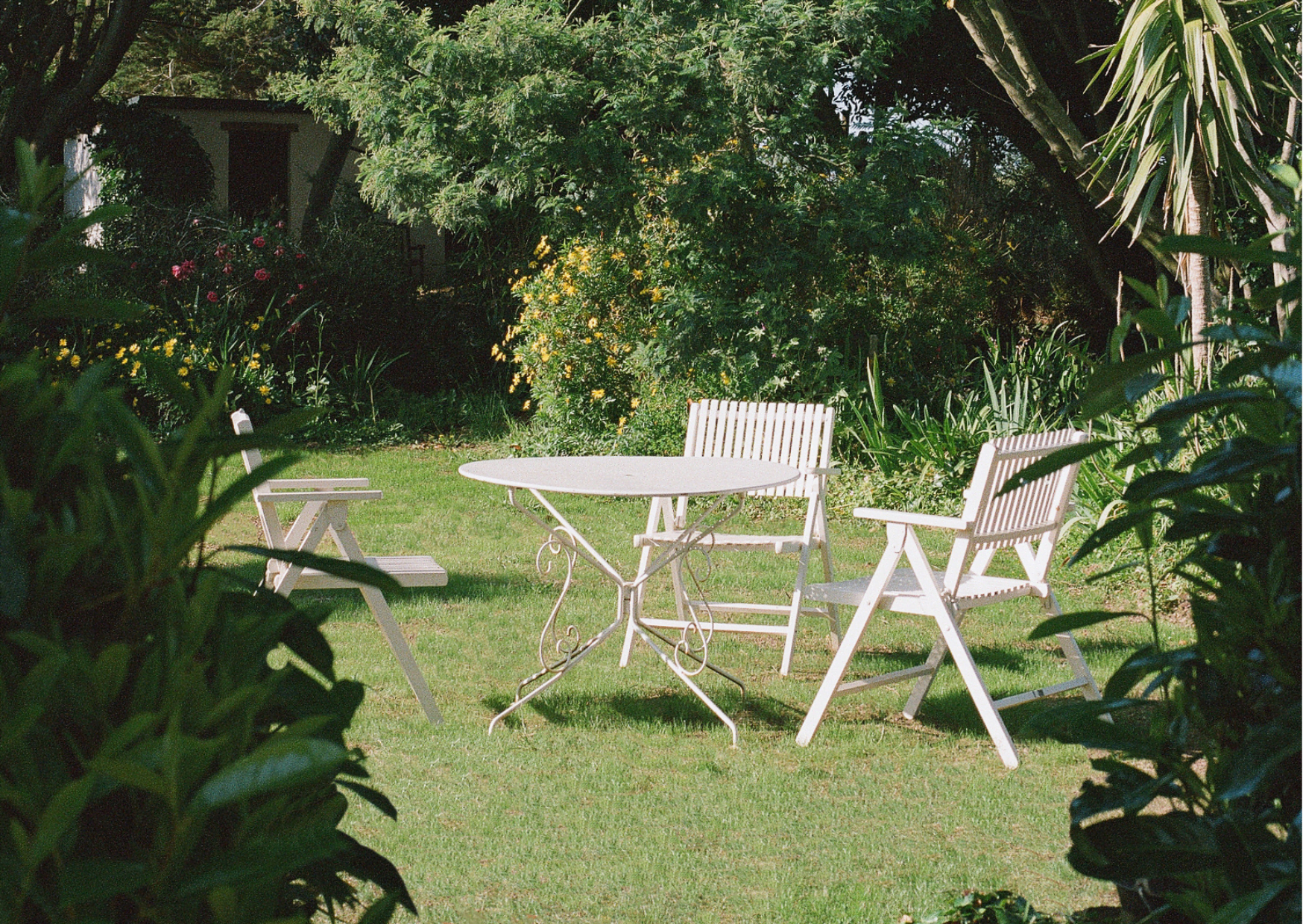 Table et chaises blanches dans le jardin : pelouse, arbres