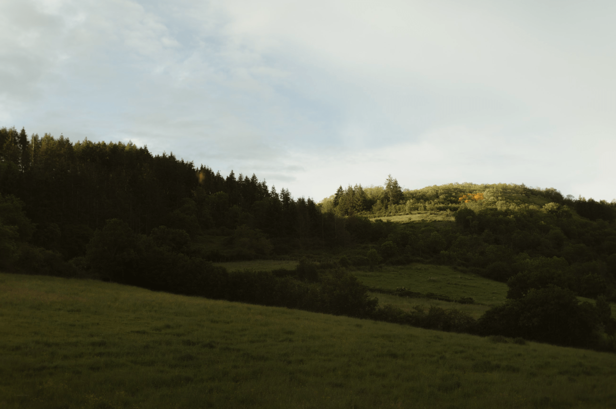 Un paysage pittoresque de carte postale, bienvenue aux Noyers. 