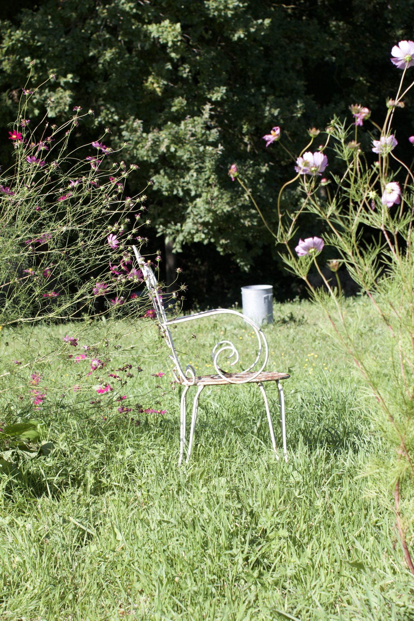 A pause in the wild garden, amid flowers and bees.