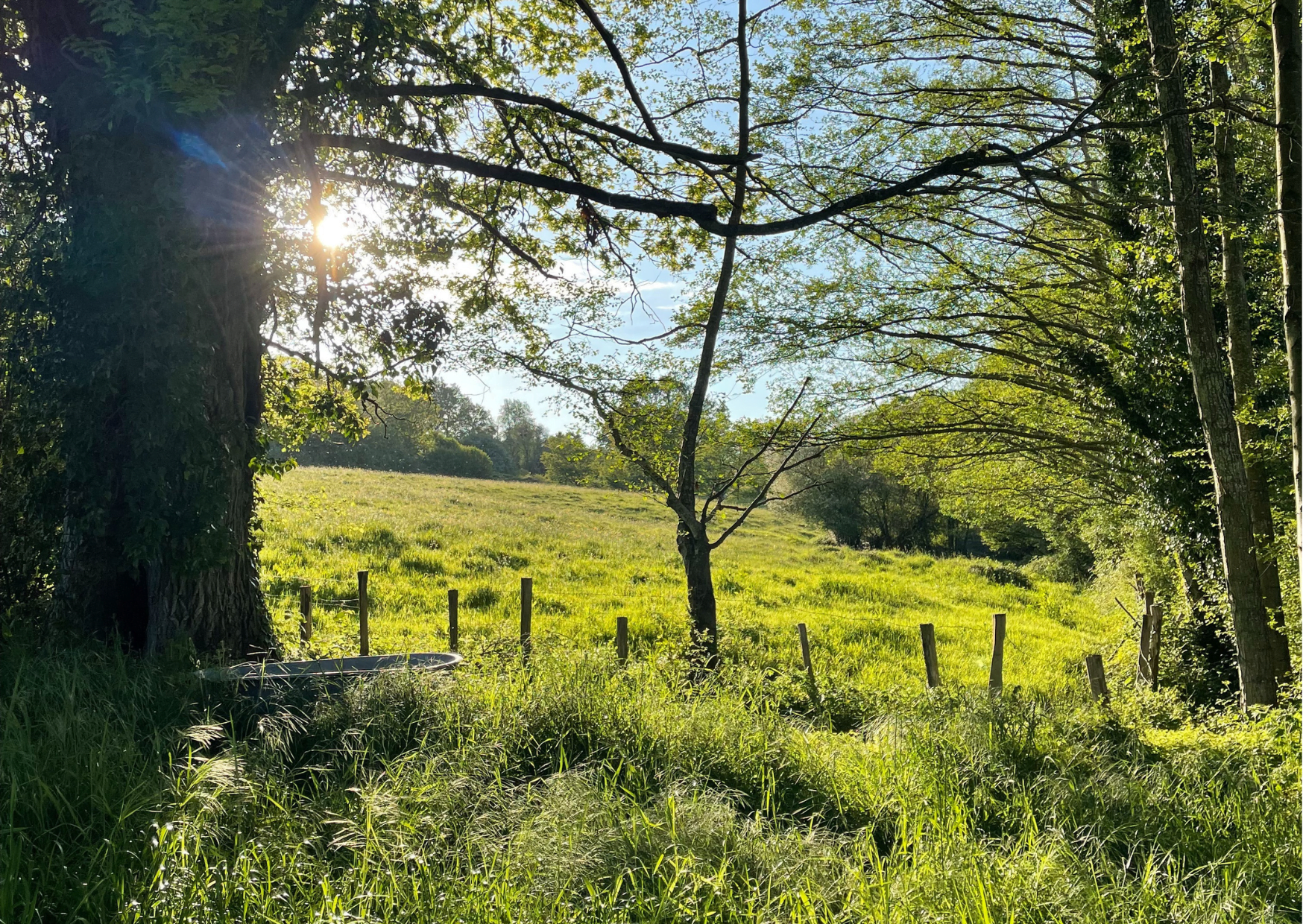 As soon as you step out of the house, you’re in the heart of nature.