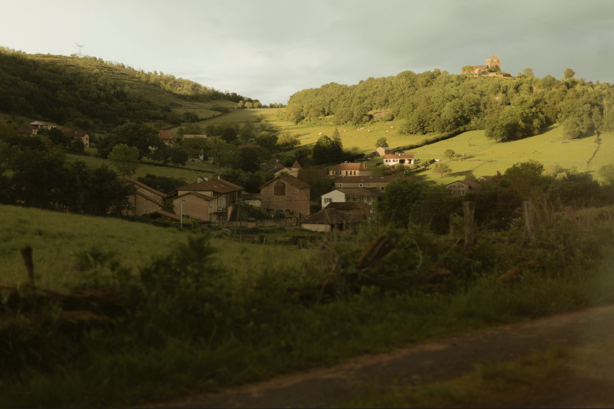 Paysage rural, petites maisons dans les collines, arbres et prairies