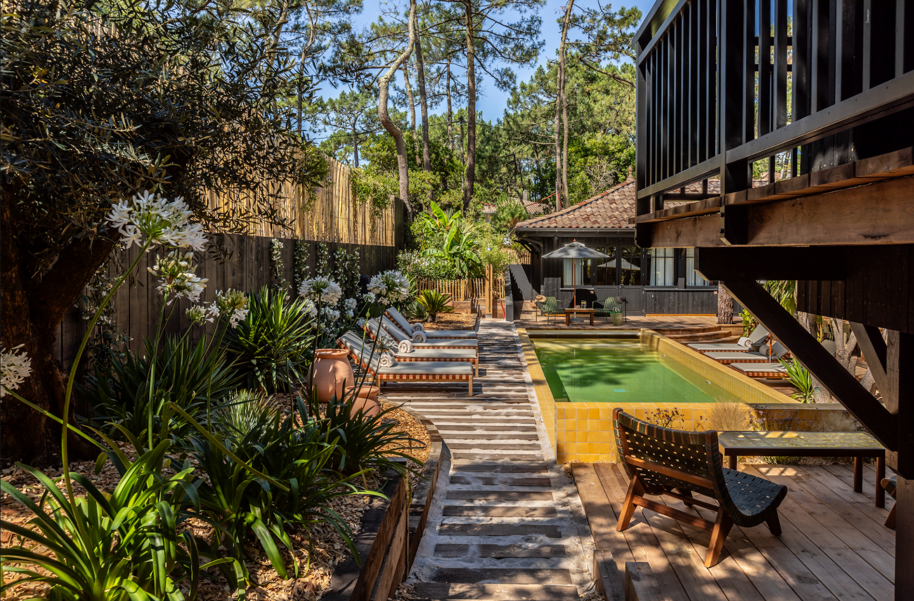 The lush garden of the wooden cabin, wooden pathway