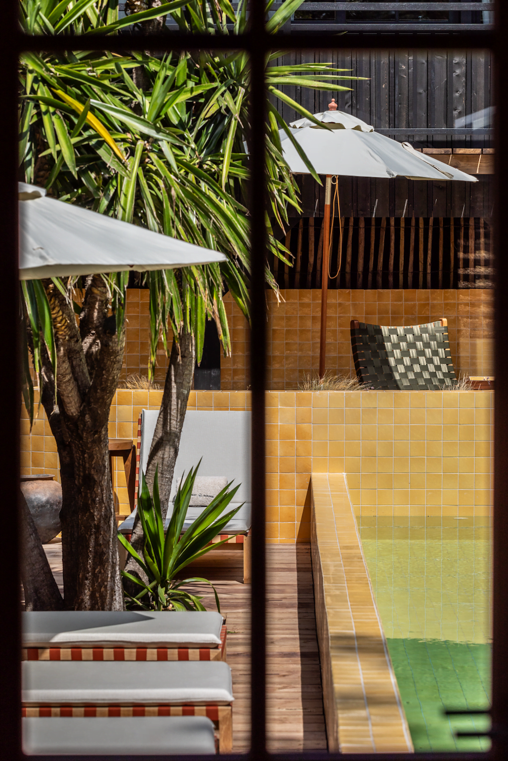 White umbrellas by the poolside, surrounded by plants