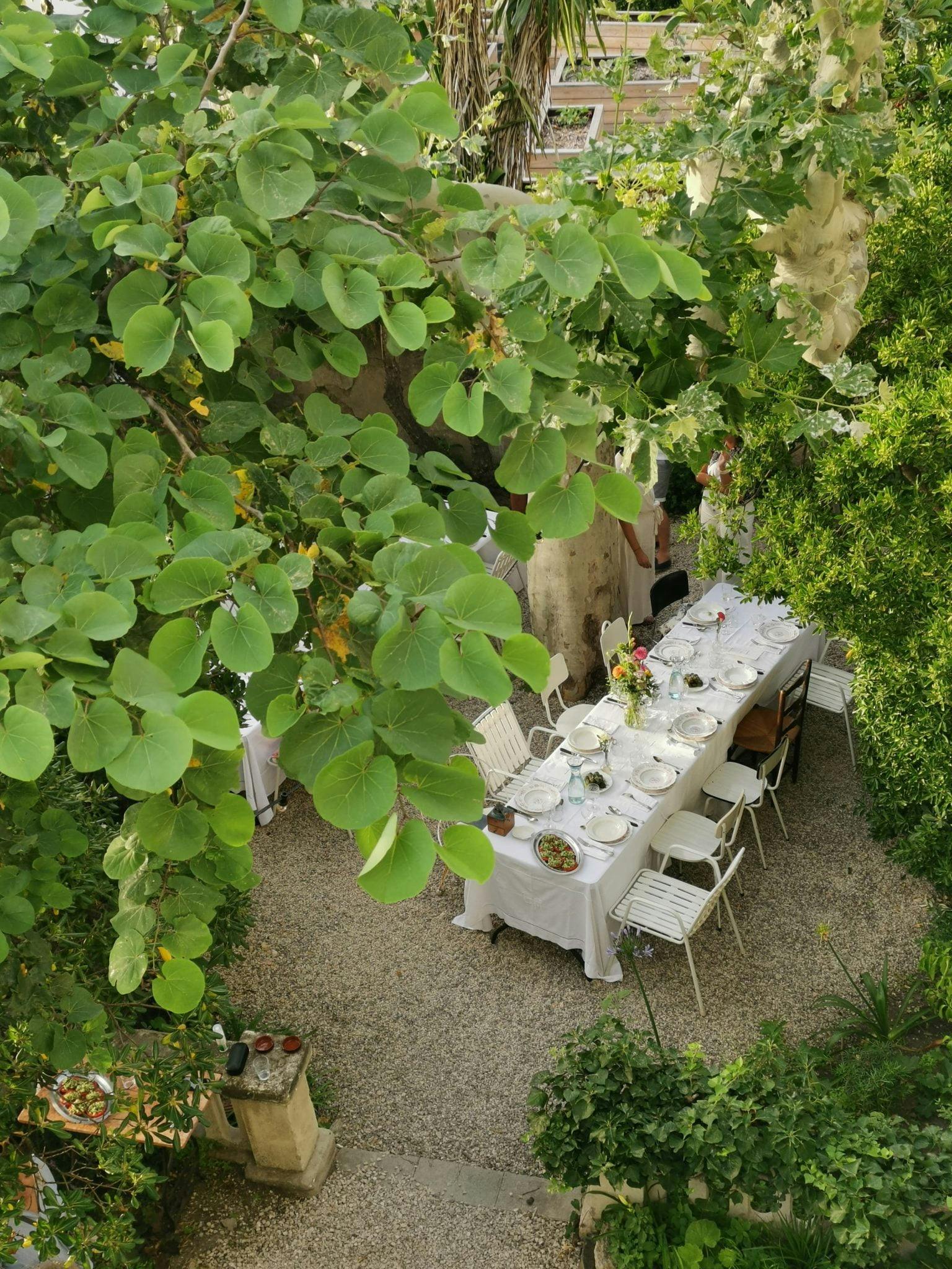 Déjeuner estival sous les arbres. 