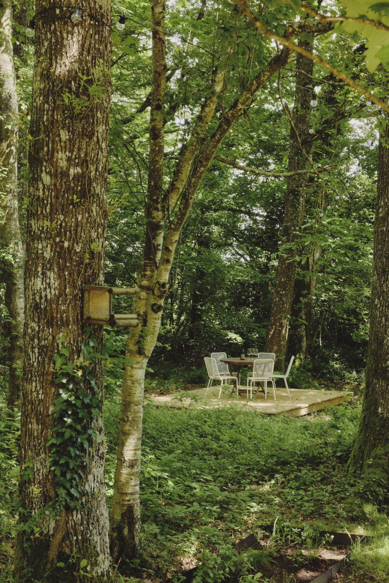 Une petite terrasse en bois avec trois chaises en métal blanc et une table assortie est entourée par la forêt verdoyante de la Maison Sauvage. A proximité, un nichoir est accroché à un tronc d'arbre, et le sol est couvert de fougères et de feuillages denses. La lumière du soleil filtre à travers les feuilles.