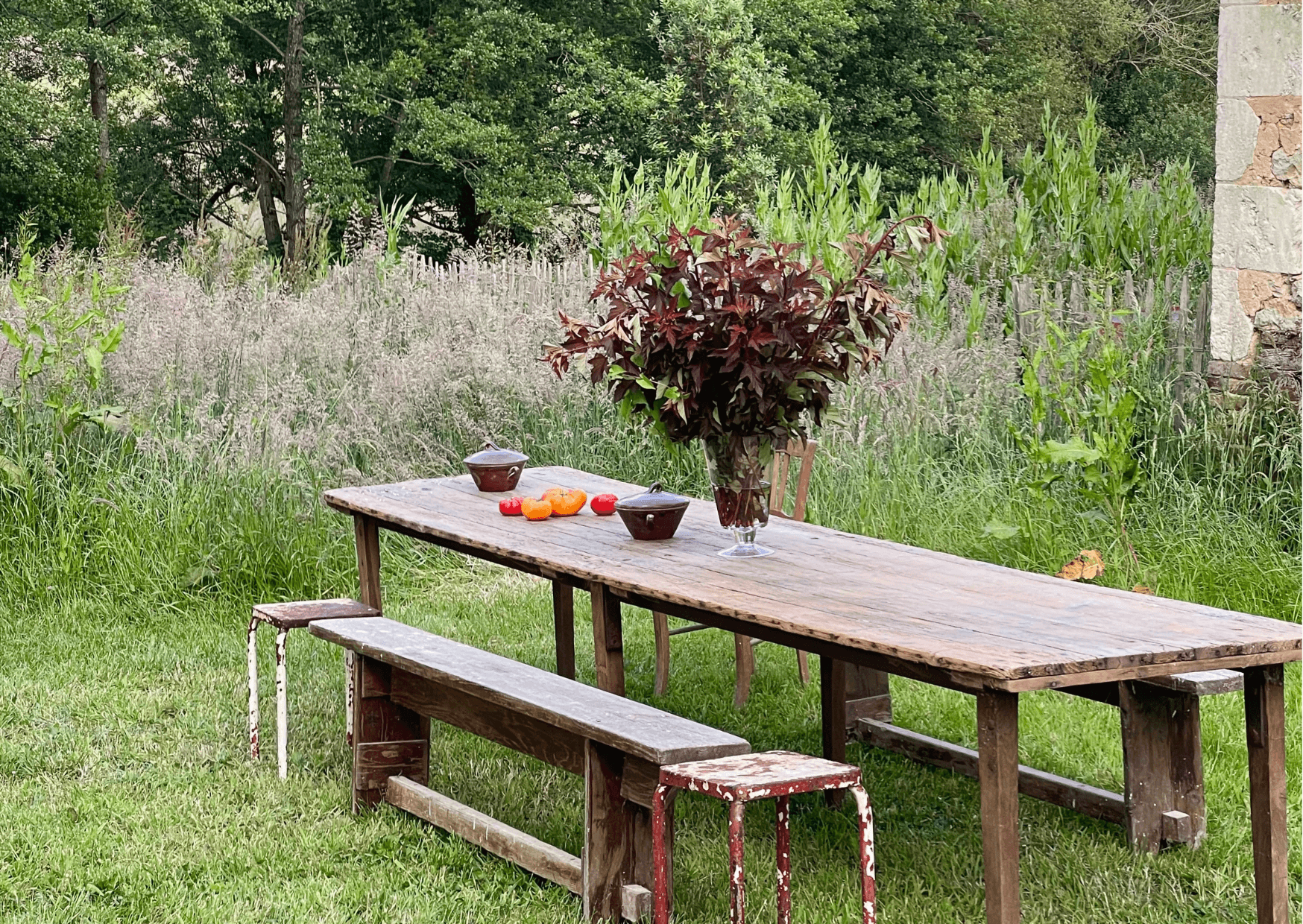 A wooden table and benches set up outdoors on a lawn with greenery in the background. The table features a leafy plant in a vase, several red tomatoes, and two small bowls. The benches have red and white painted legs, showing signs of wear and tear.