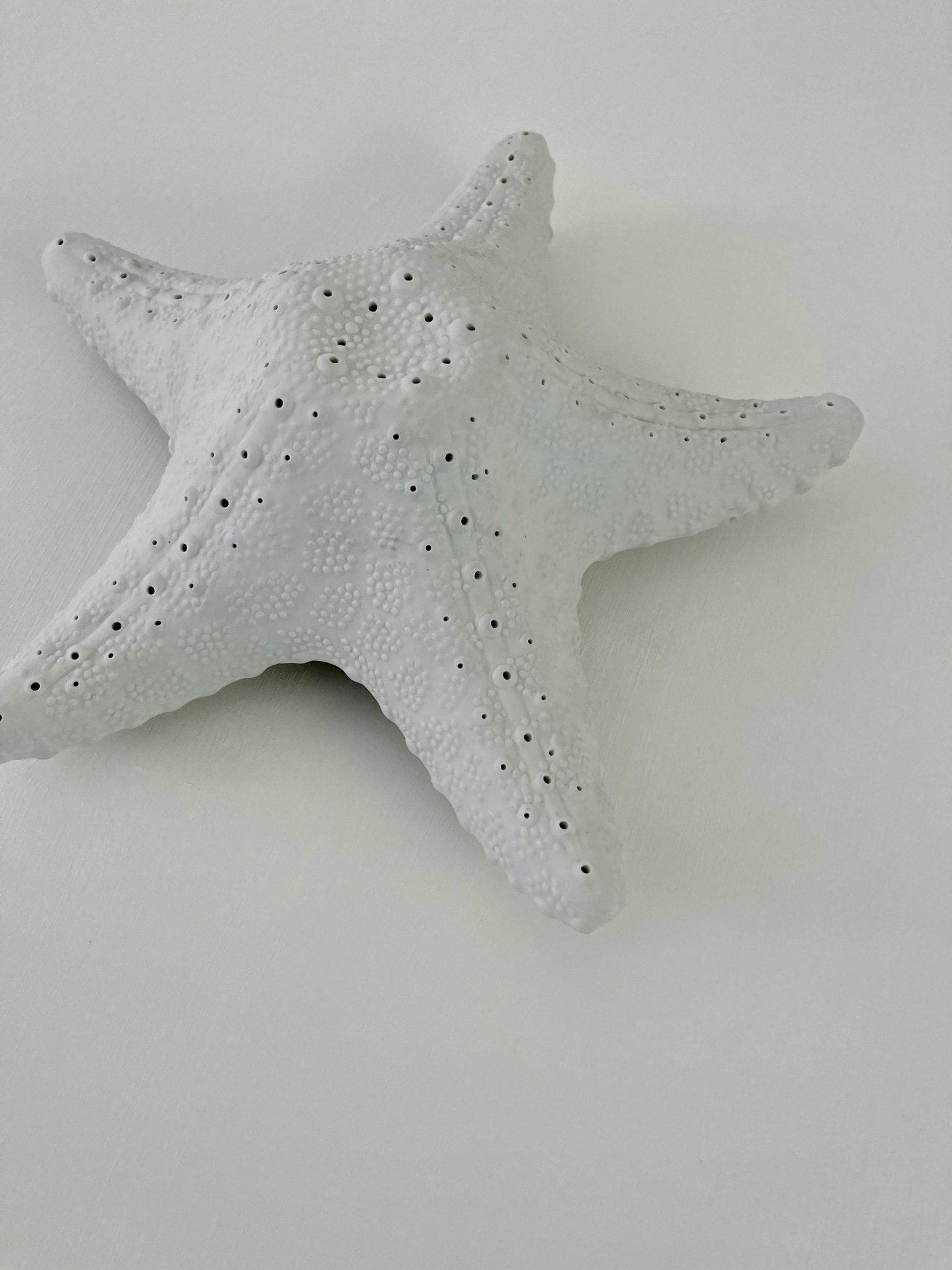 A close-up view of a white starfish-shaped object with a textured surface, featuring small perforations arranged in patterns on each arm. The background is a smooth, solid white surface.