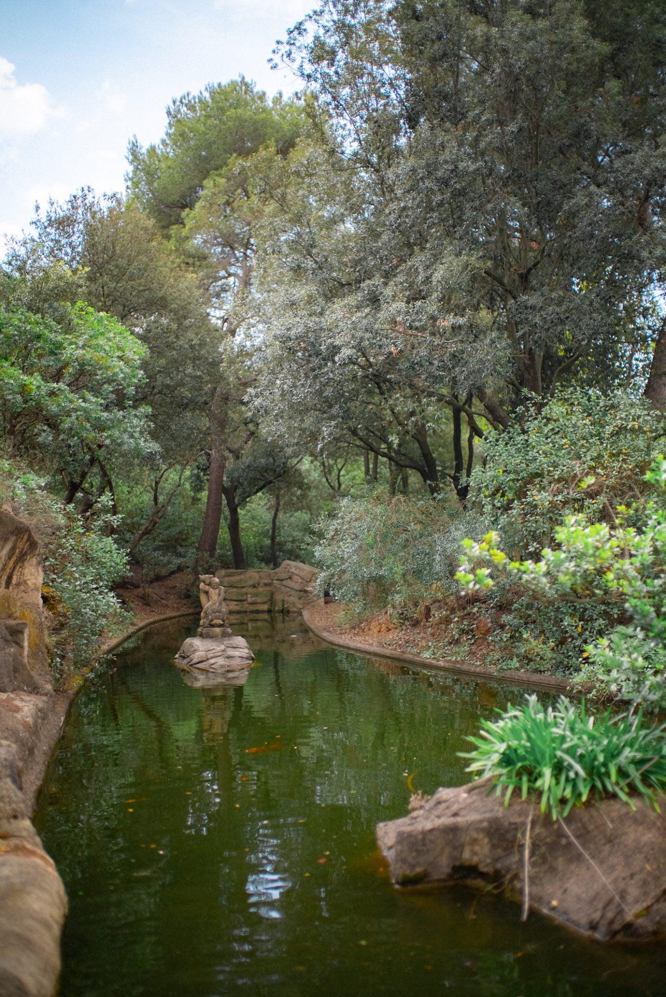 A serene and narrow pond surrounded by lush greenery and tall trees, reflecting the natural landscape. The water is calm, with large stones and rocks along the edges. The sky is partially visible through the tree canopy, creating a tranquil and wooded atmosphere.