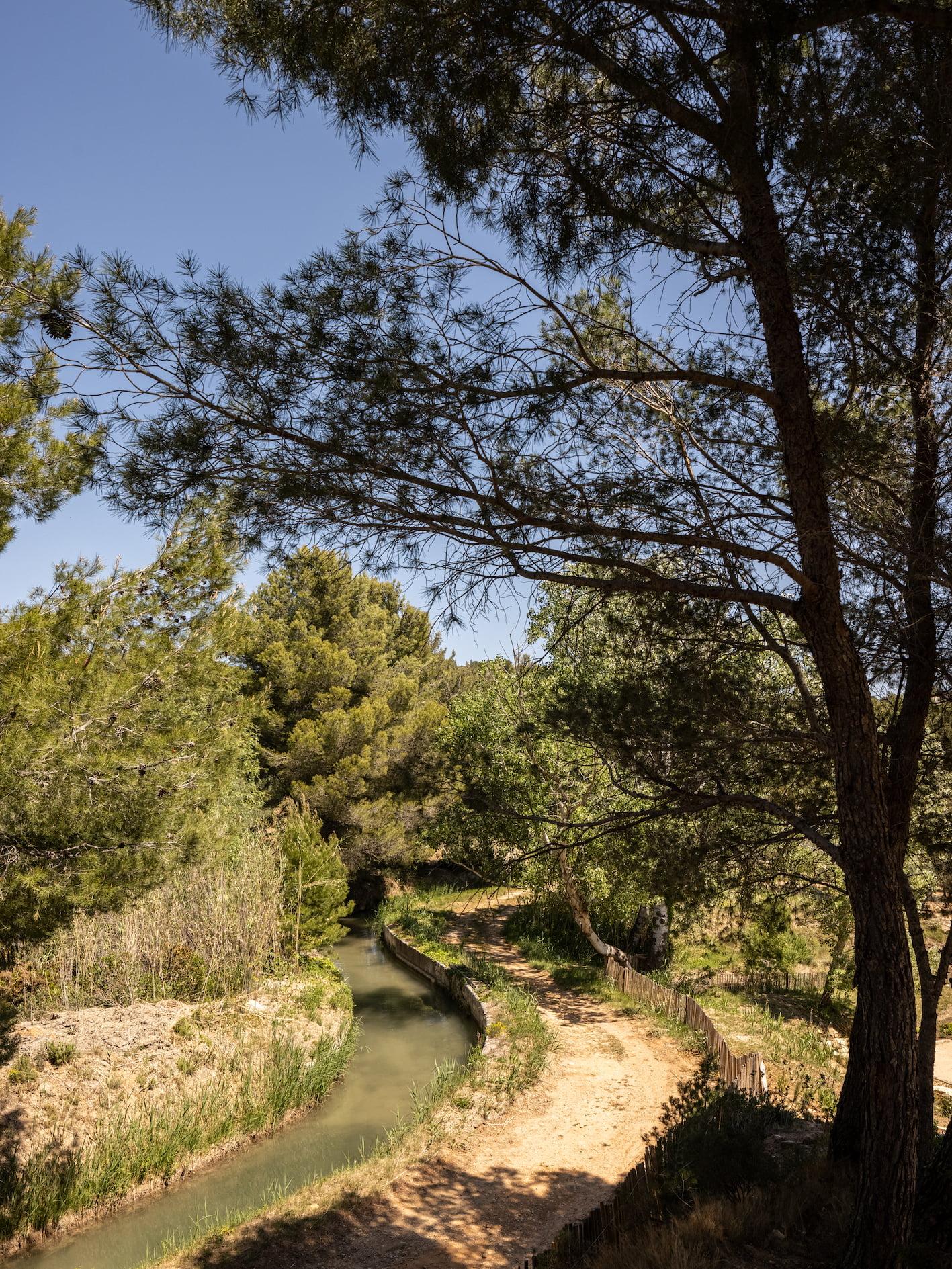 Un petit ruisseau étroit serpente à travers une forêt dense de grands arbres verts sous un ciel bleu clair. Le ruisseau est bordé de berges herbeuses et d'un chemin de terre qui lui est parallèle. La lumière du soleil filtre à travers les branches des arbres, projetant des ombres sur le chemin et l'eau.