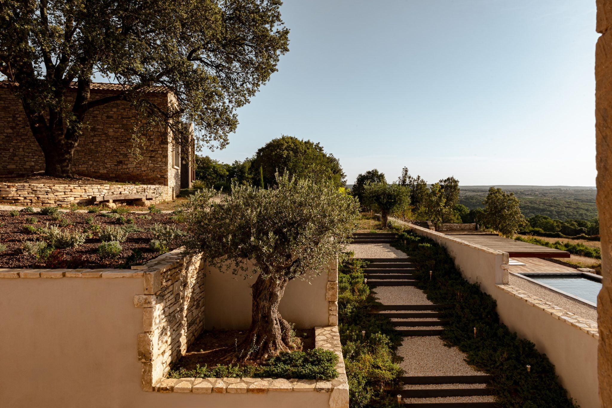 Un paysage extérieur pittoresque avec un bâtiment en pierre au design rustique, entouré d'une végétation luxuriante. Un sentier avec des marches traverse la zone, avec un olivier au premier plan et une piscine à droite, avec en toile de fond une vue panoramique sur la campagne.