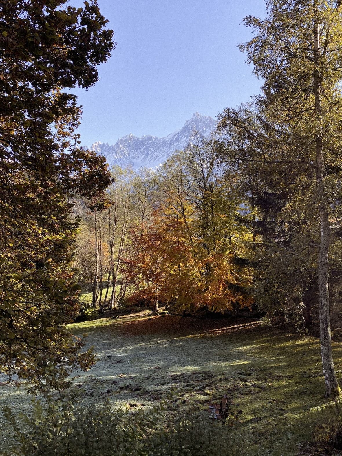 A serene autumn landscape featuring a meadow surrounded by trees with leaves in shades of green, yellow, and orange. In the distance, snow-capped mountains rise against a clear blue sky, framed by the foliage.