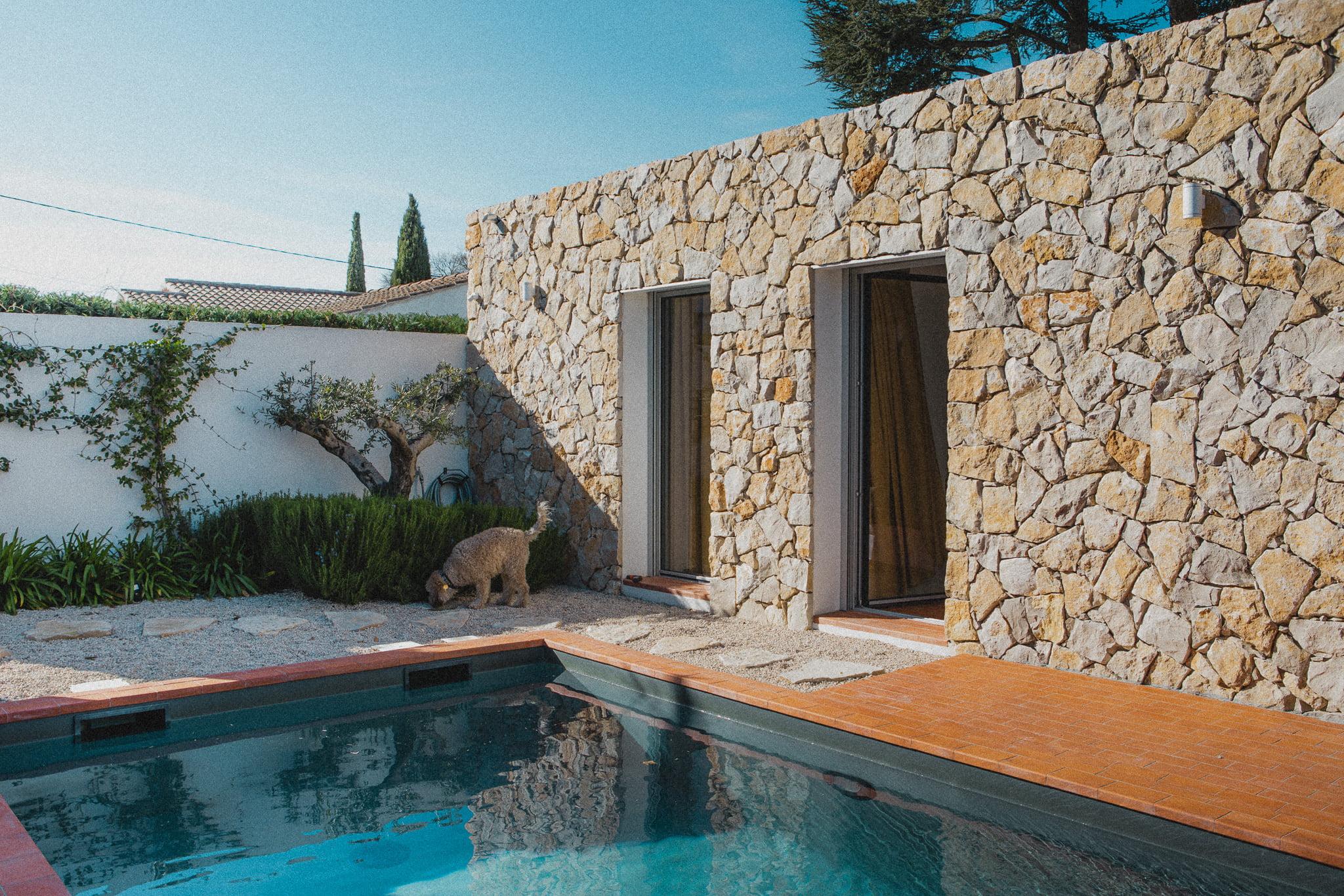 A modern house with a textured stone exterior features a glass door leading to a poolside patio. There is a lush garden with greenery and a tree. A cat is exploring near the plants along the house wall in the sunlight.