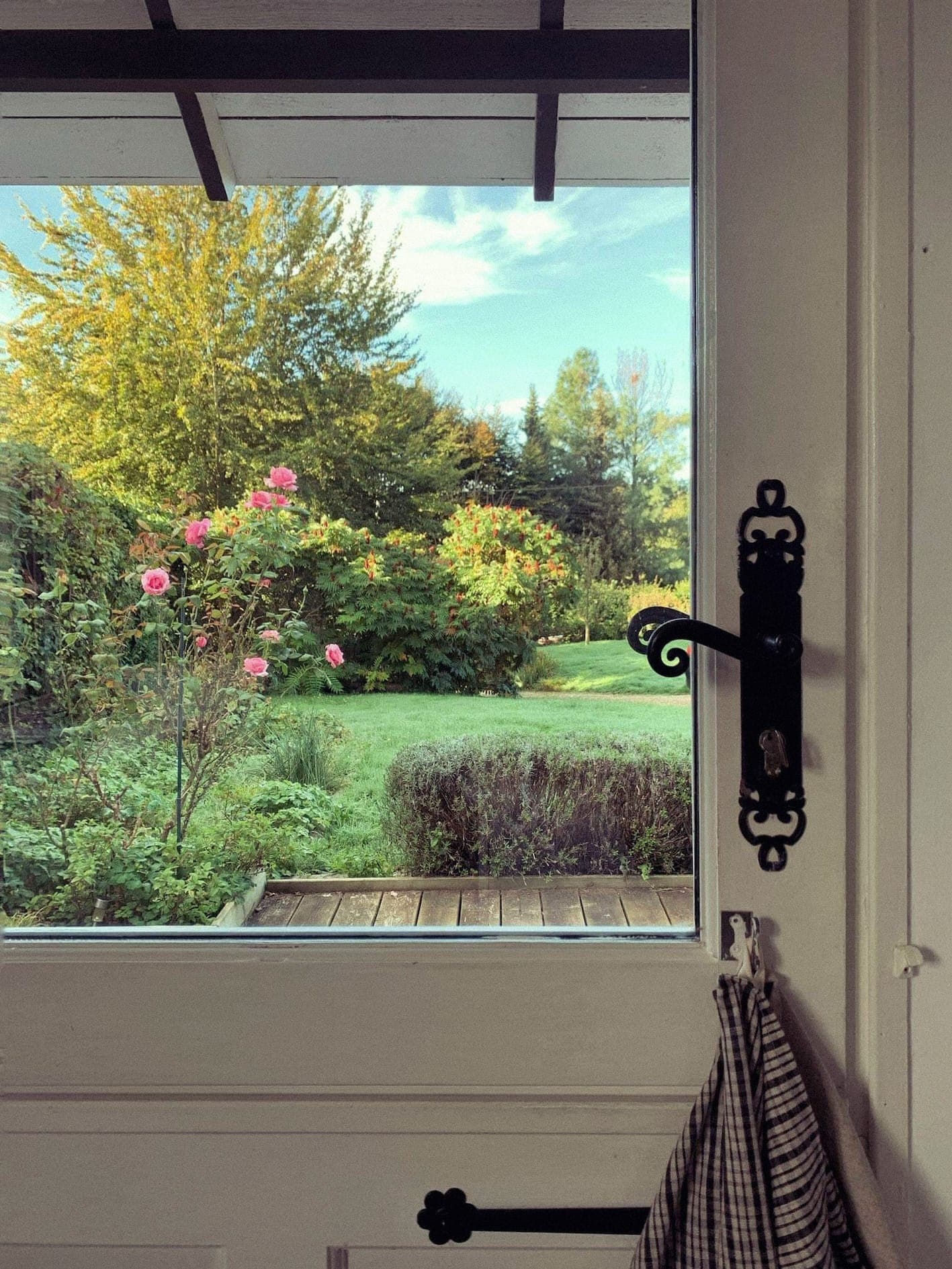 Une vue à travers une fenêtre montre un jardin avec des rosiers roses en fleurs, une herbe verte luxuriante et des arbres sous un ciel bleu clair. La porte ouverte a une poignée noire décorative et un tissu à carreaux qui y est suspendu.