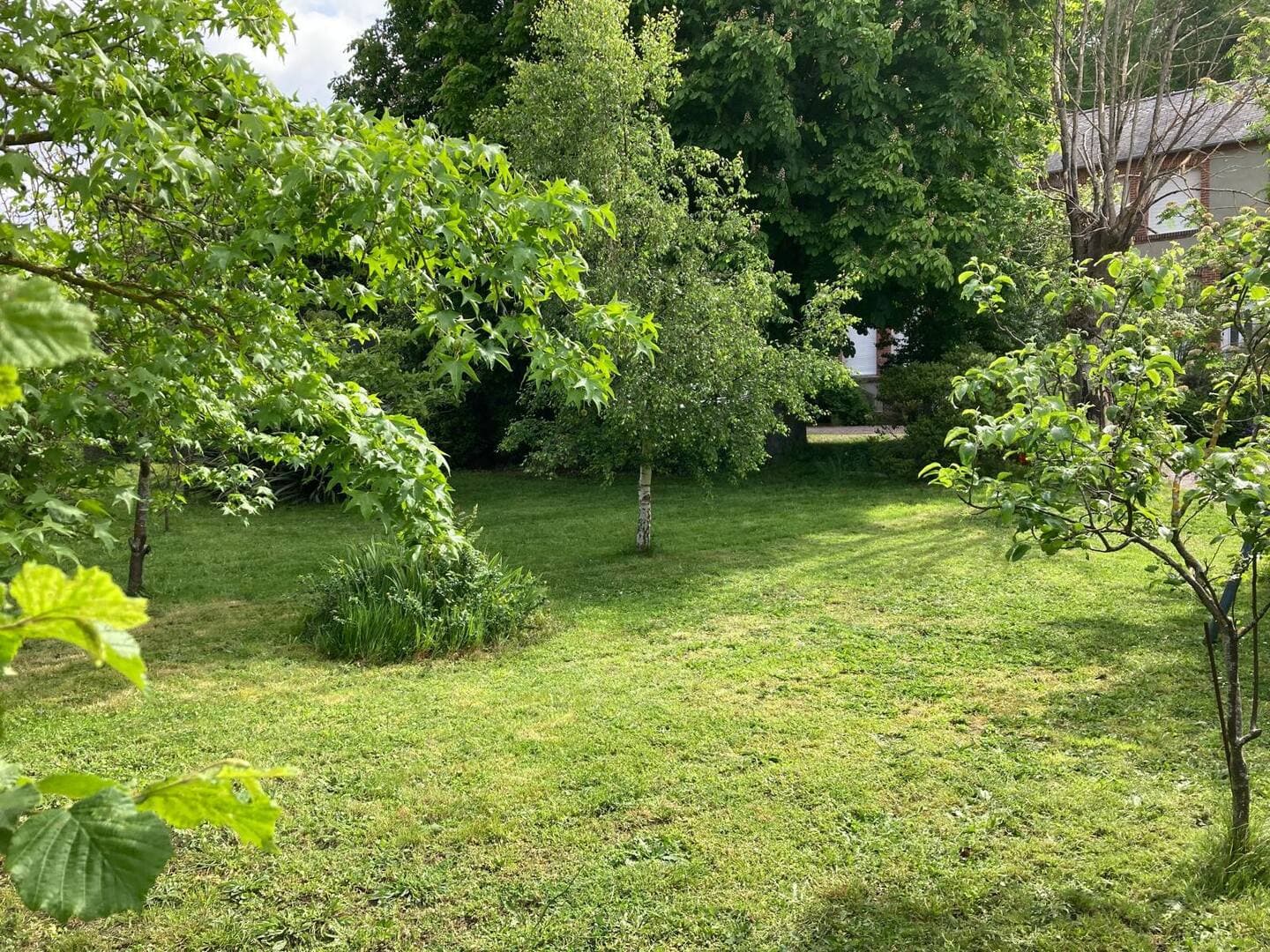 Un jardin verdoyant avec divers arbres et arbustes sous un ciel partiellement nuageux. L'herbe est fraîchement tondue et la lumière du soleil filtre à travers les feuilles, créant un cadre paisible et naturel. Une maison est partiellement visible en arrière-plan.