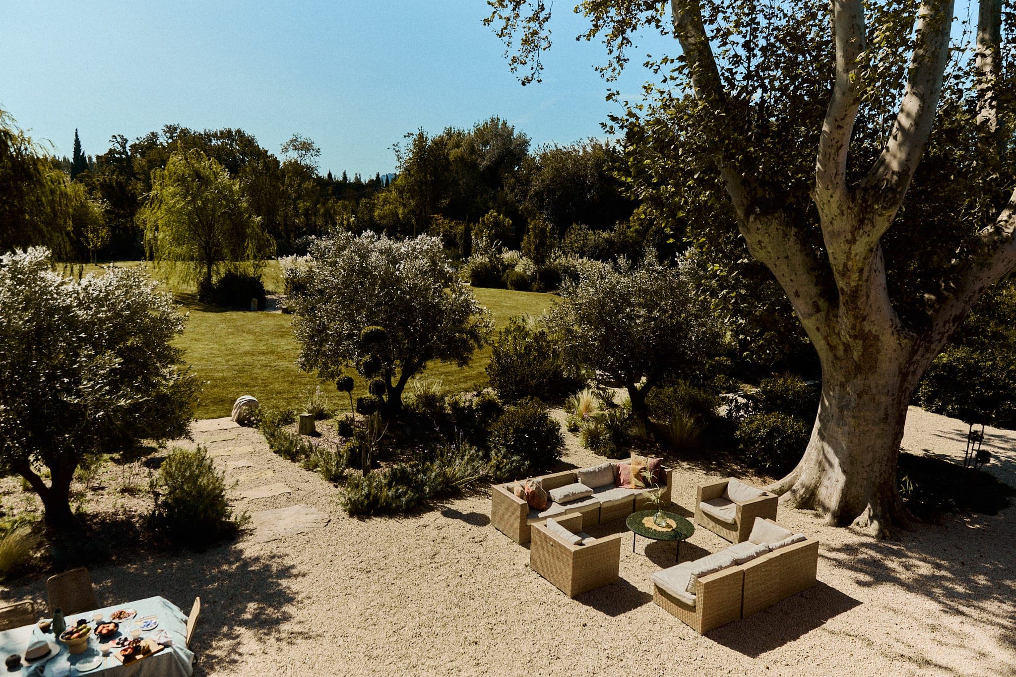 Un coin salon extérieur ensoleillé avec des meubles en osier est installé sous un grand arbre. Une table avec de la nourriture se trouve sur la gauche. L'arrière-plan présente une pelouse verte luxuriante et étendue entourée d'arbres et d'arbustes denses.