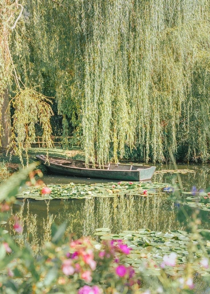 Un étang serein avec des nénuphars et un bateau en bois niché sous un dais de branches de saule pleureur évoque le charme des plus beaux villages de peintres. Au premier plan, des fleurs colorées ajoutent de la vivacité à cette scène tranquille et pittoresque.