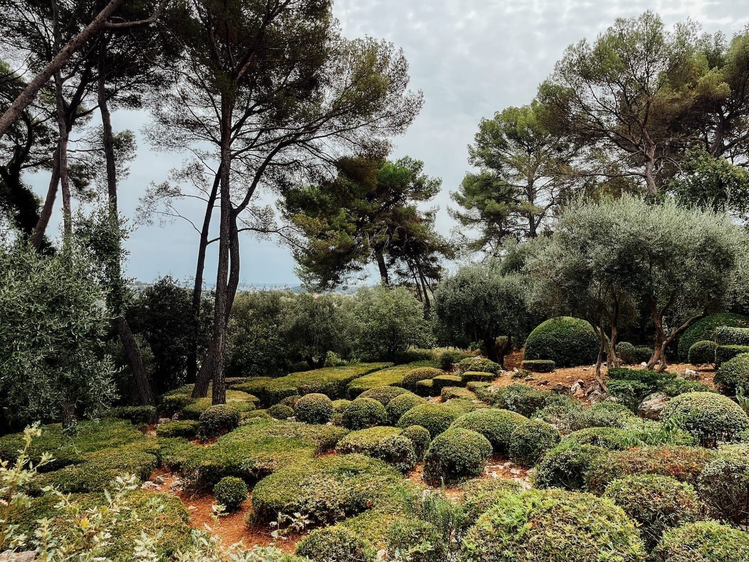 Un paysage pittoresque avec un jardin aux buissons soigneusement taillés et aux arbres luxuriants sous un ciel nuageux. La zone est parsemée d'arbustes ronds et bien entretenus et de grands pins, créant une atmosphère paisible et naturelle.