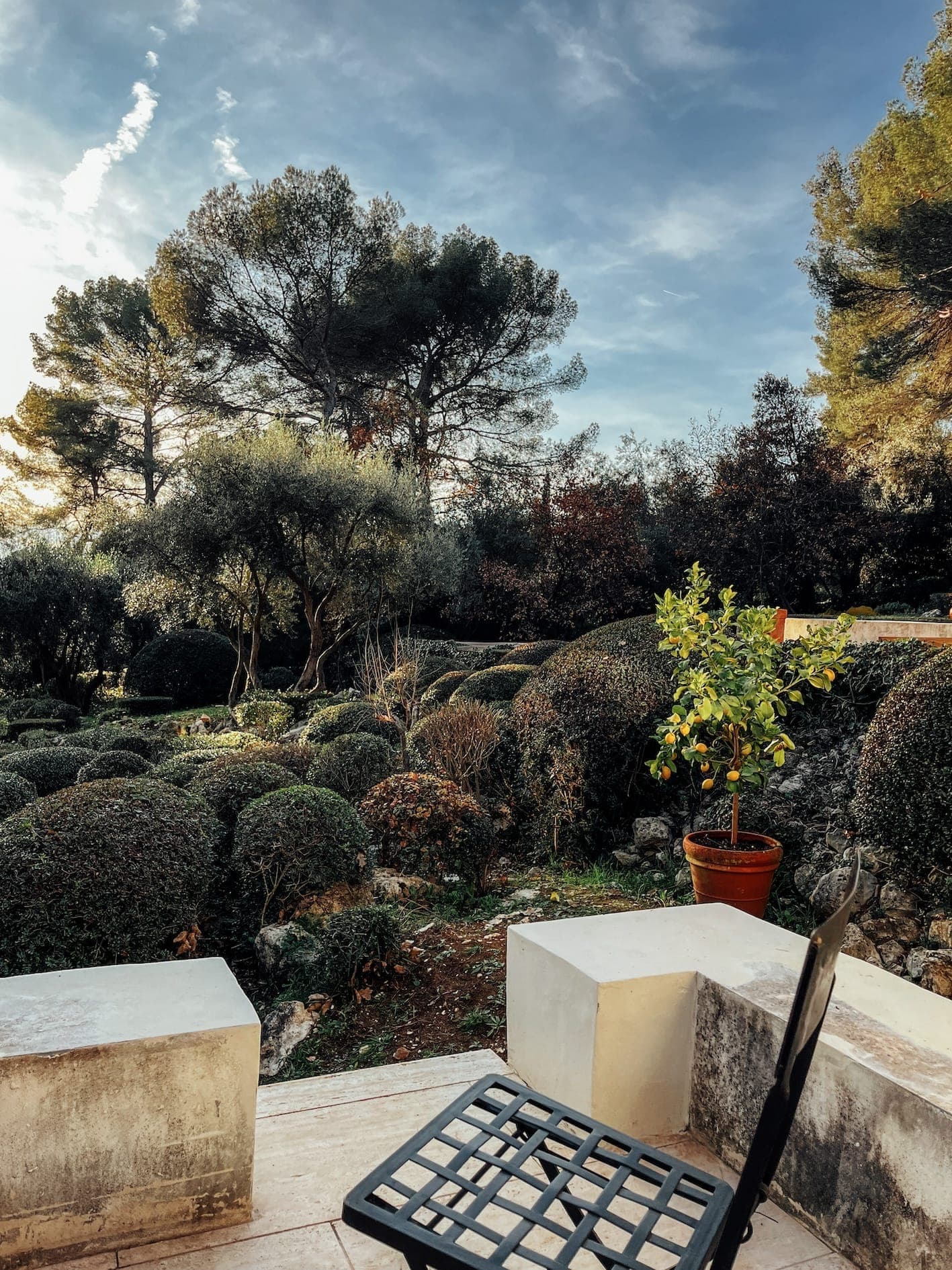 Une scène de jardin sereine avec un petit arbre en pot sur une terrasse en pierre, entouré de buissons soigneusement taillés. De grands arbres bordent l'arrière-plan sous un ciel partiellement nuageux, et une chaise noire à plateau carré se trouve au premier plan.