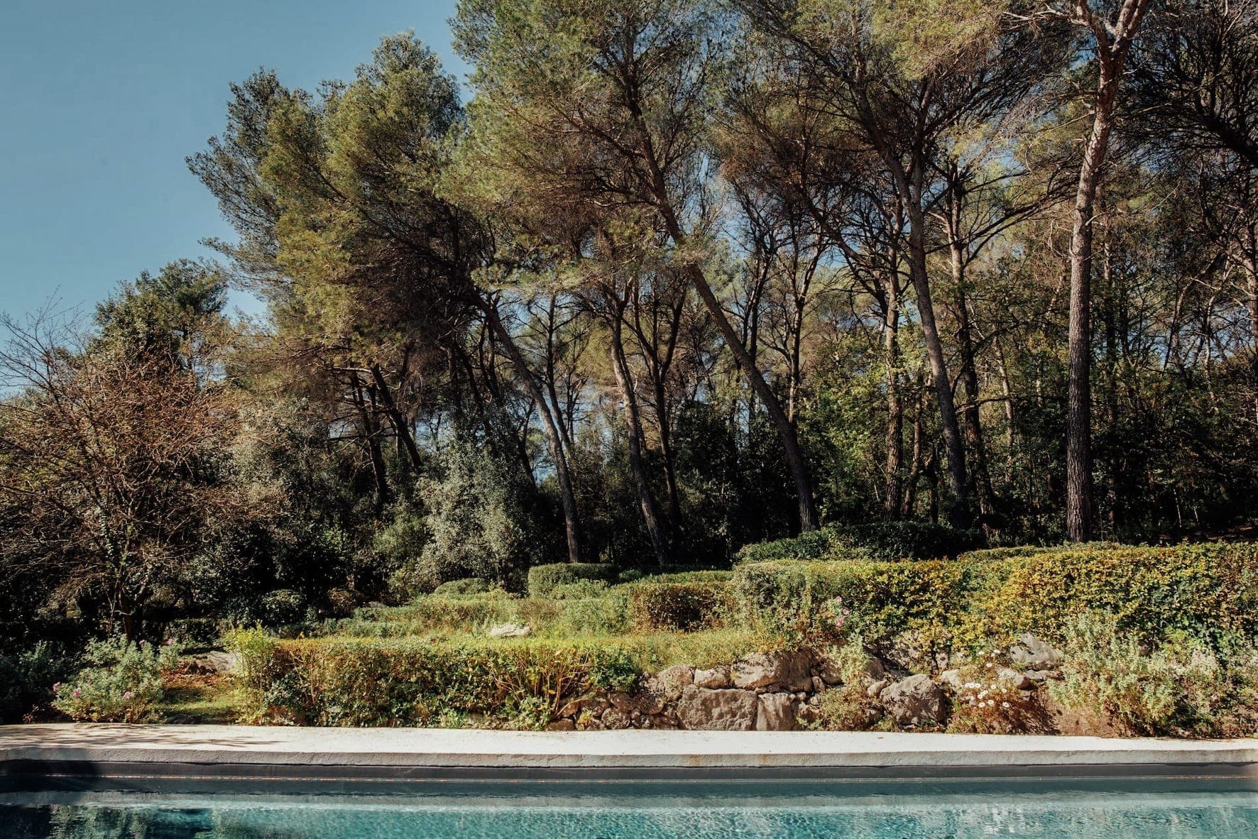 Une piscine entre des pins et des buissons. Le ciel est bleu.