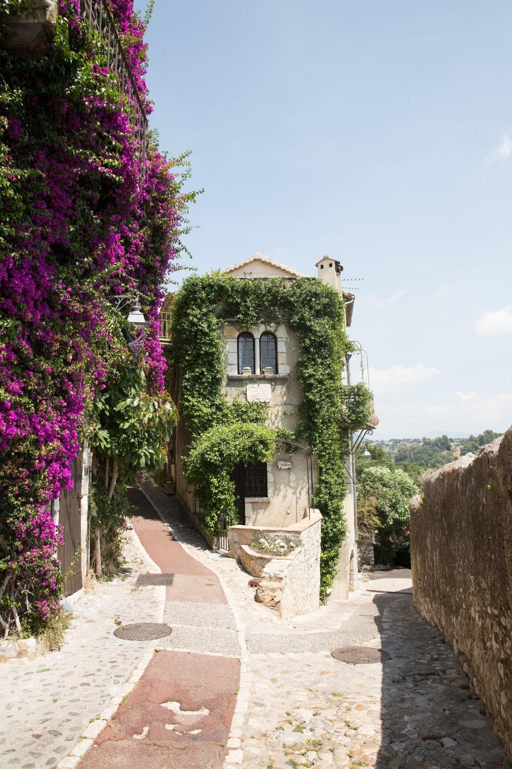 Flower-filled street leading to the entrance to the green house