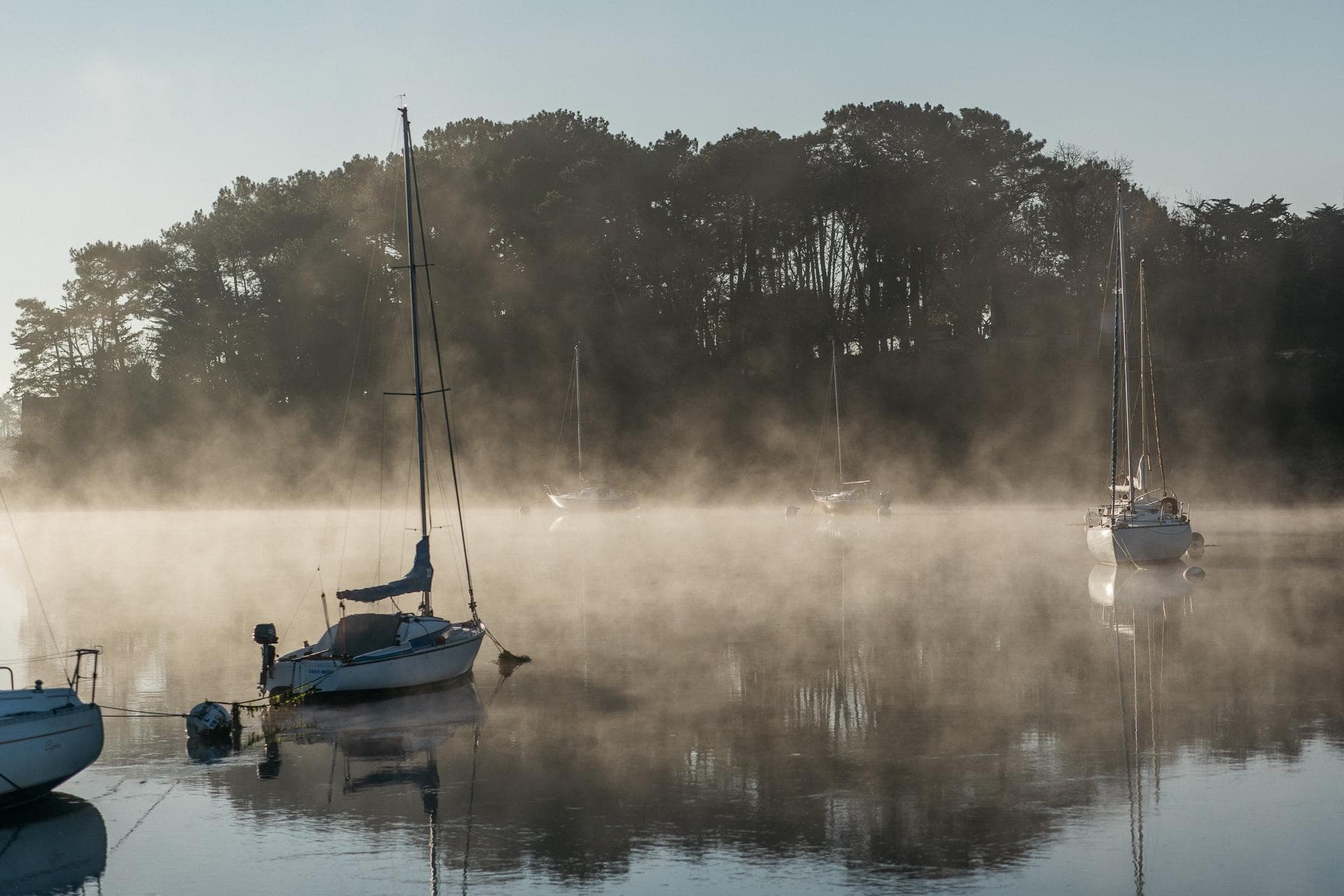 The boats in the harbor