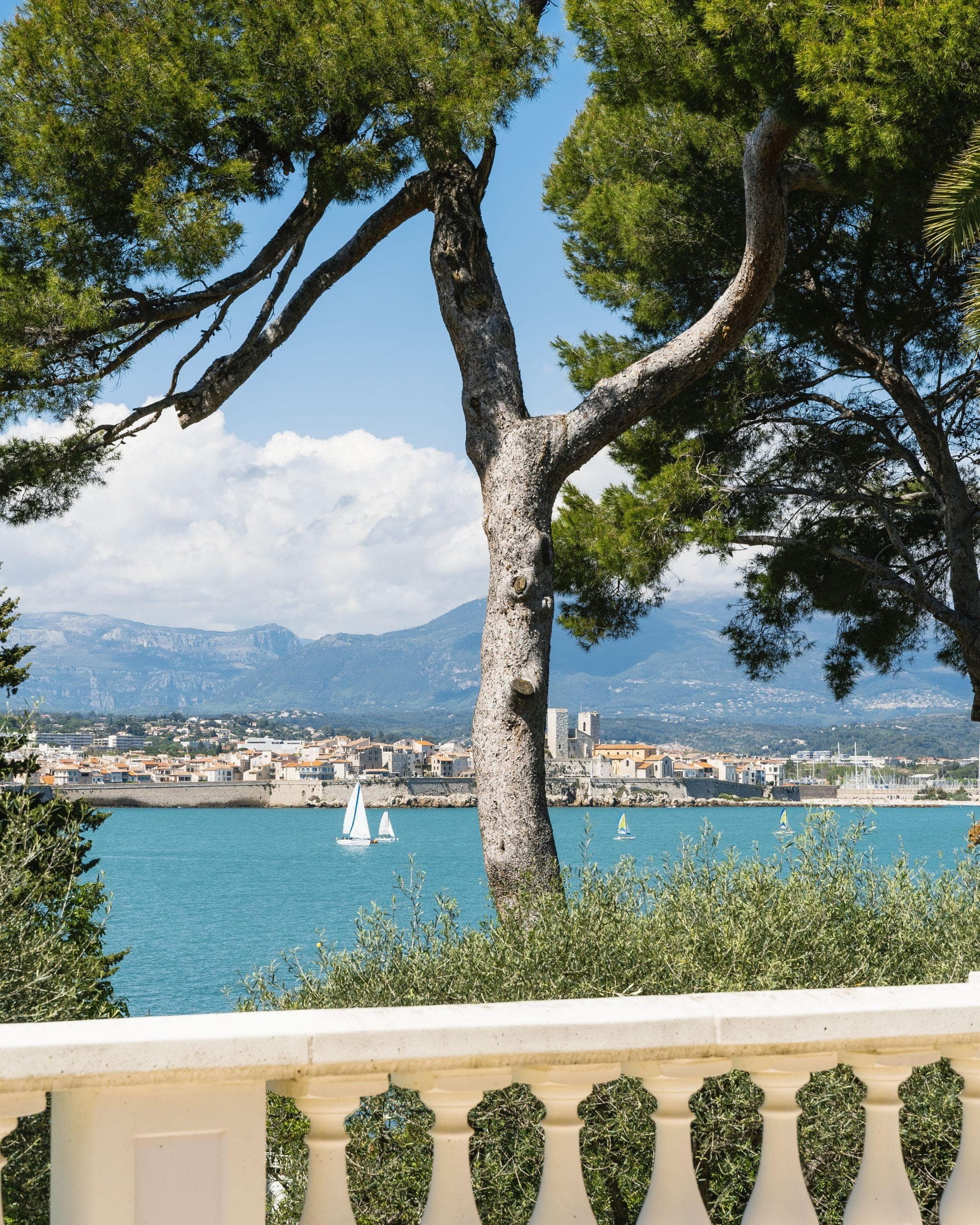 view of the town from the terrace: the sea and the port