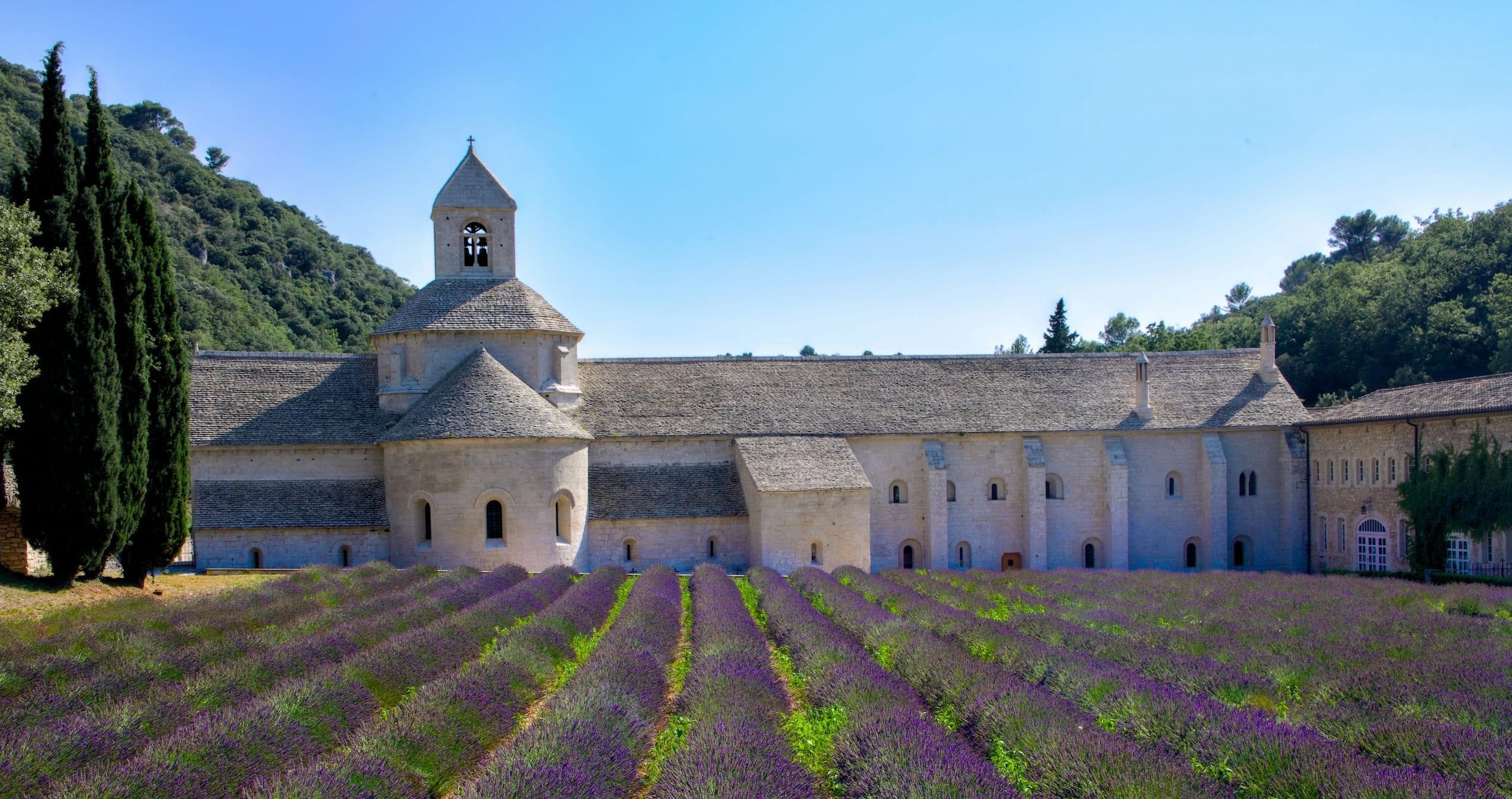 A historic stone abbey with a bell tower stands amidst a vibrant lavender field under a clear blue sky, reminiscent of a Luberon villa. Tall cypress trees frame the scene, and lush green hills rise in the background, creating a serene, picturesque setting.
