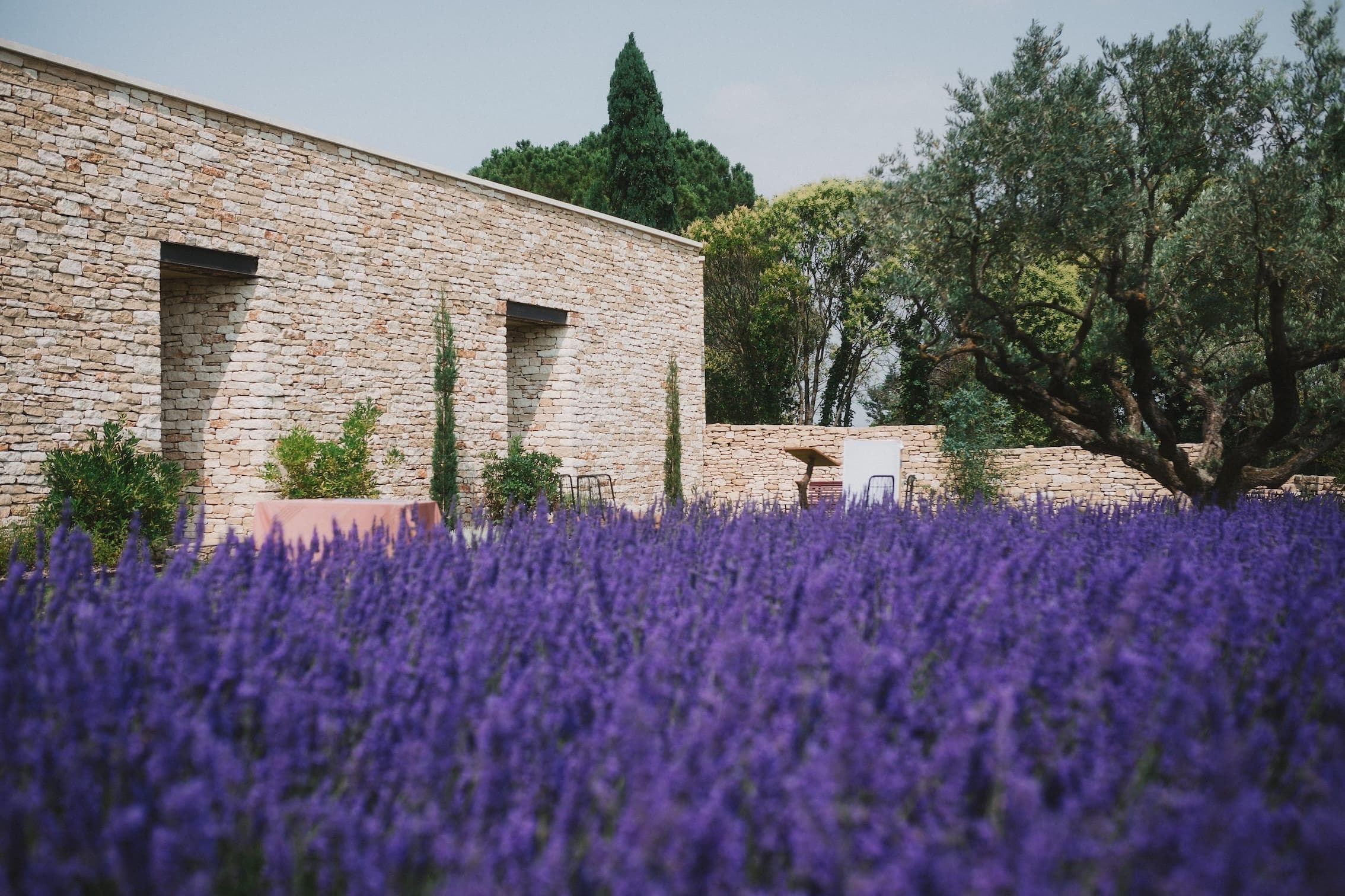 Villa AVA, nestled between olive trees and lavender fields.
