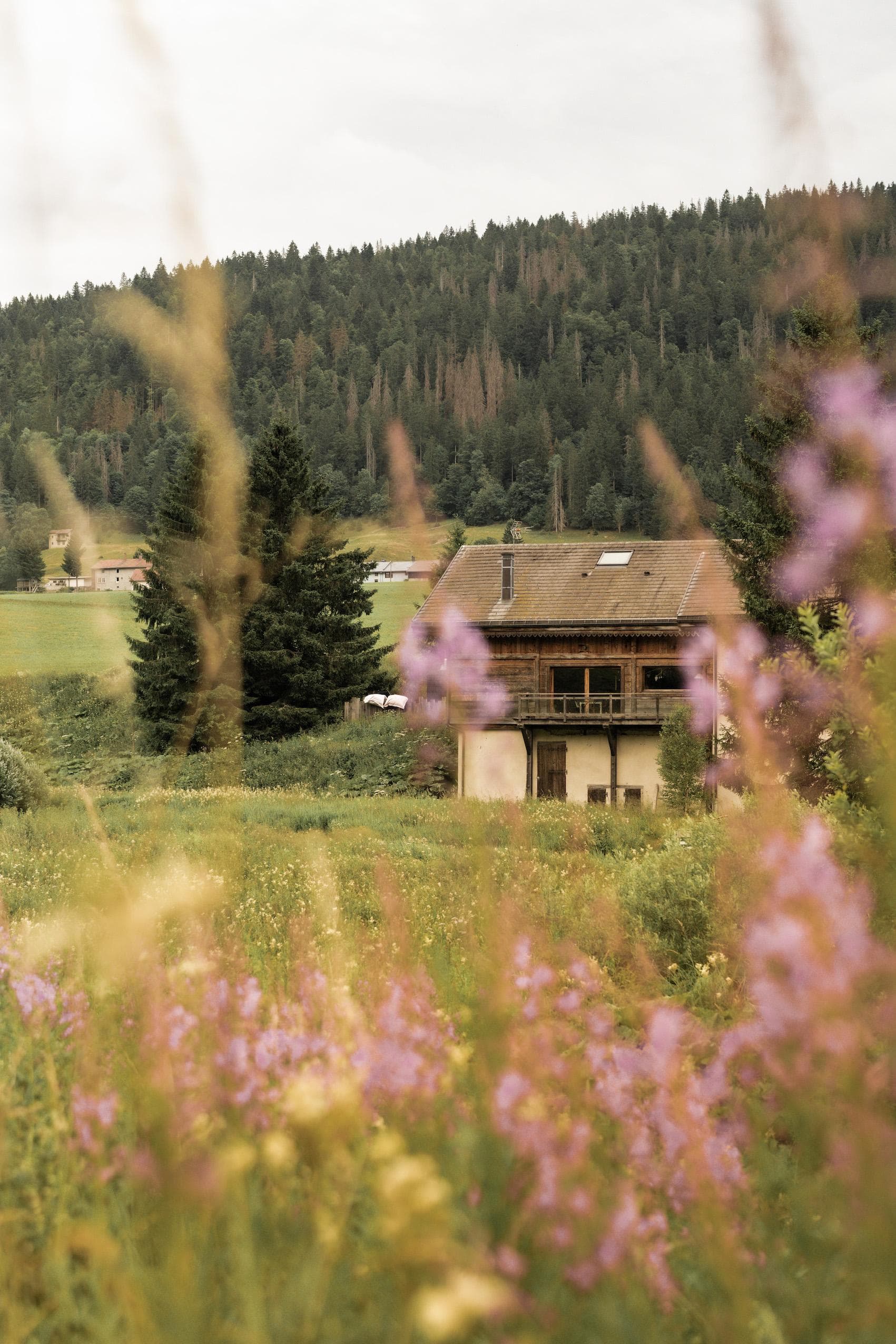 A rustic wooden house sits in a grassy meadow with tall wildflowers in the foreground and dense green forest covering the hills in the background.